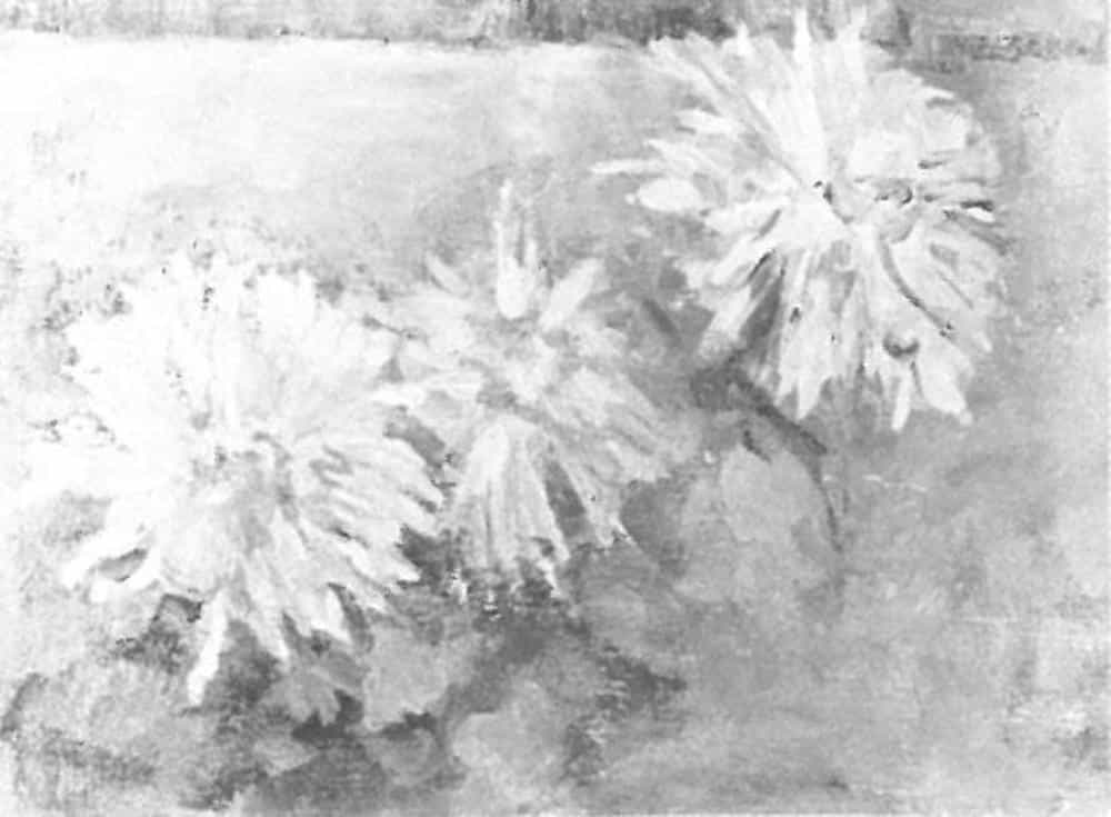 Three Chrysanthemum Blossoms by Piet Mondrian