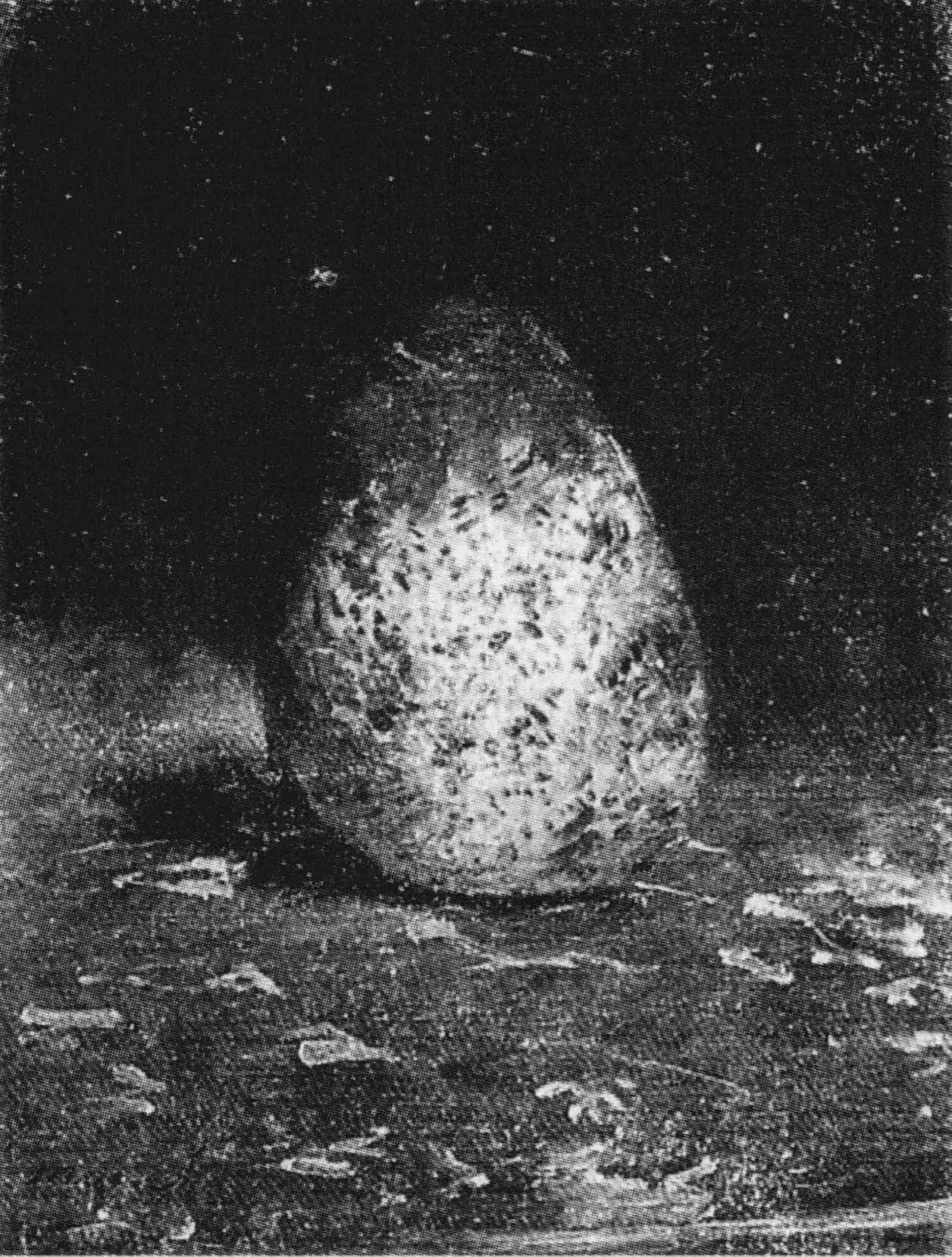 Pear by Édouard Manet