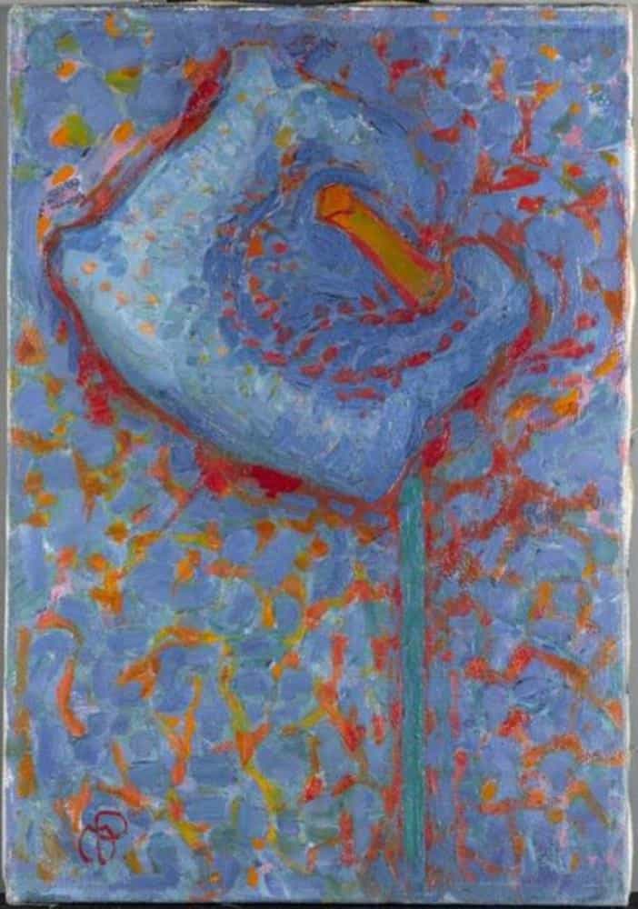 Arum Lily by Piet Mondrian