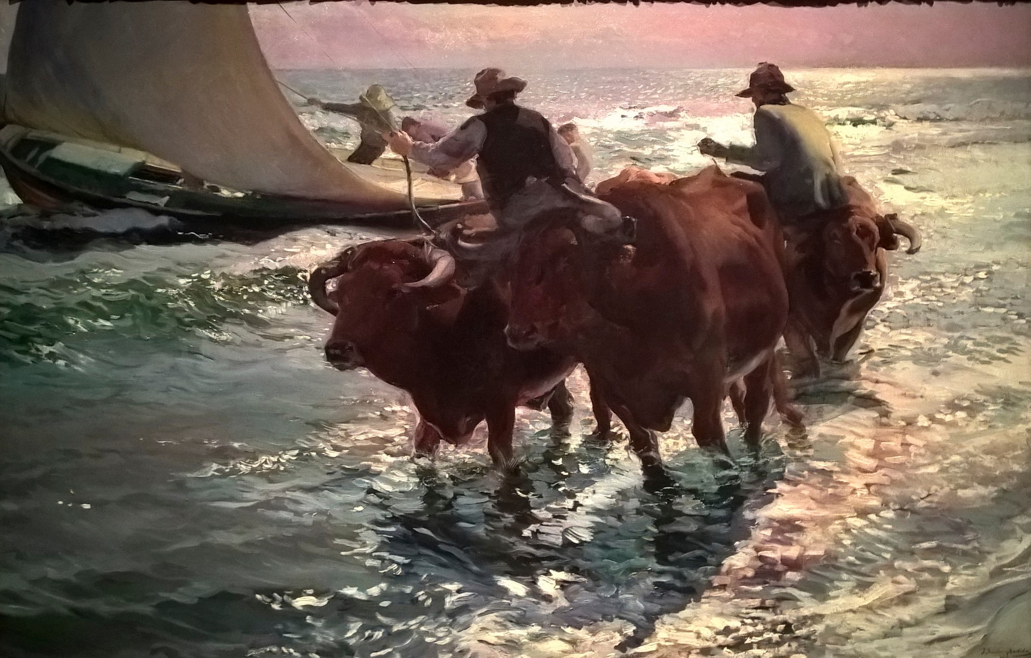 Oxen in the Sea