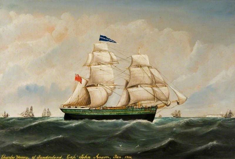 Snow 'Charles Henry'