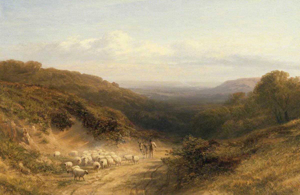 Landscape with Sheep