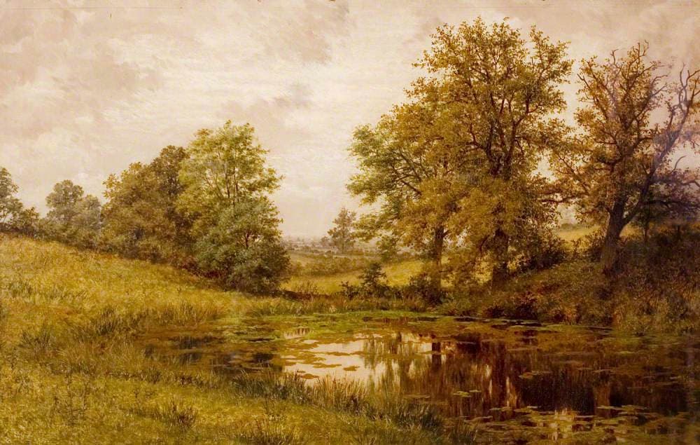 Pond near Whittem's Farm, near Coundon, Warwickshire