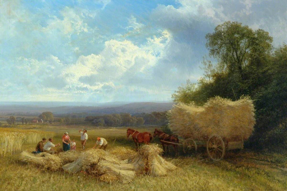 Harvest Scene