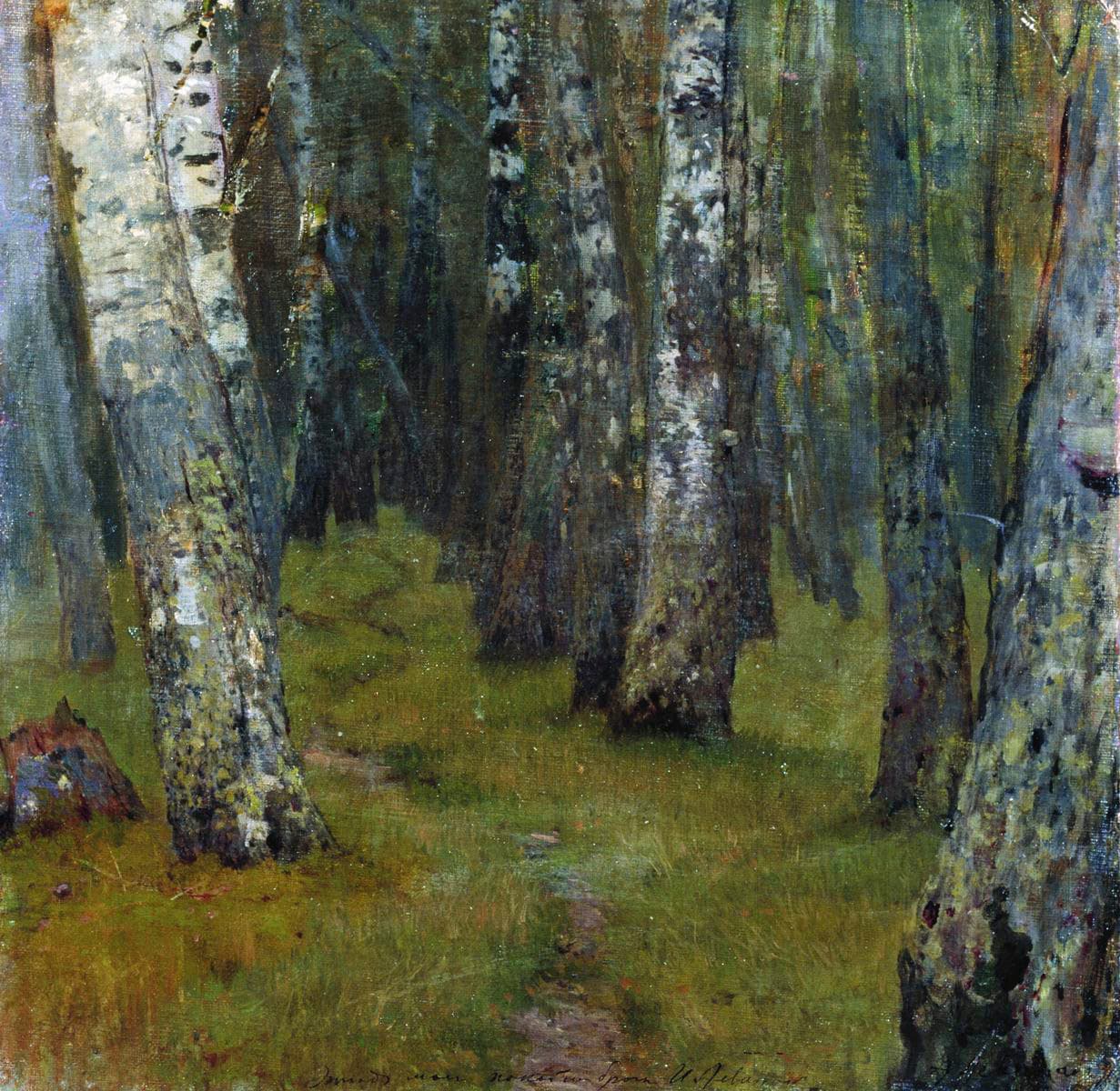 Березы. Опушка леса