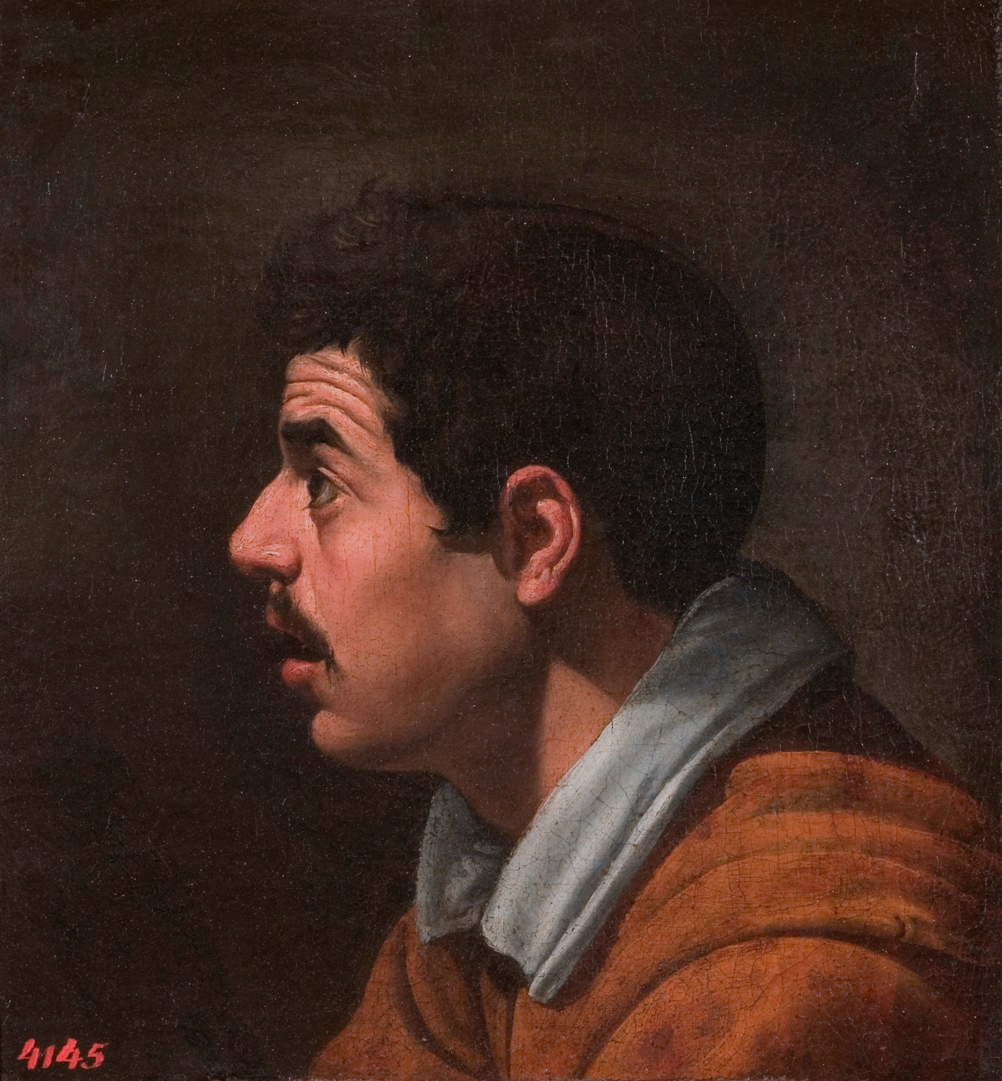 Head of a Man in Profile
