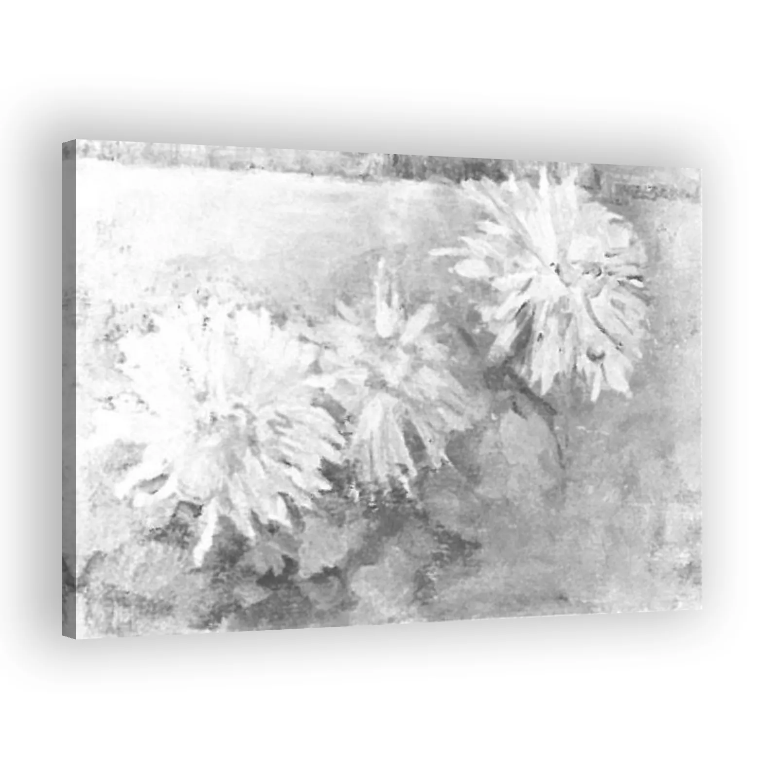 Three Chrysanthemum Blossoms by Piet Mondrian - view 2 thumbnail