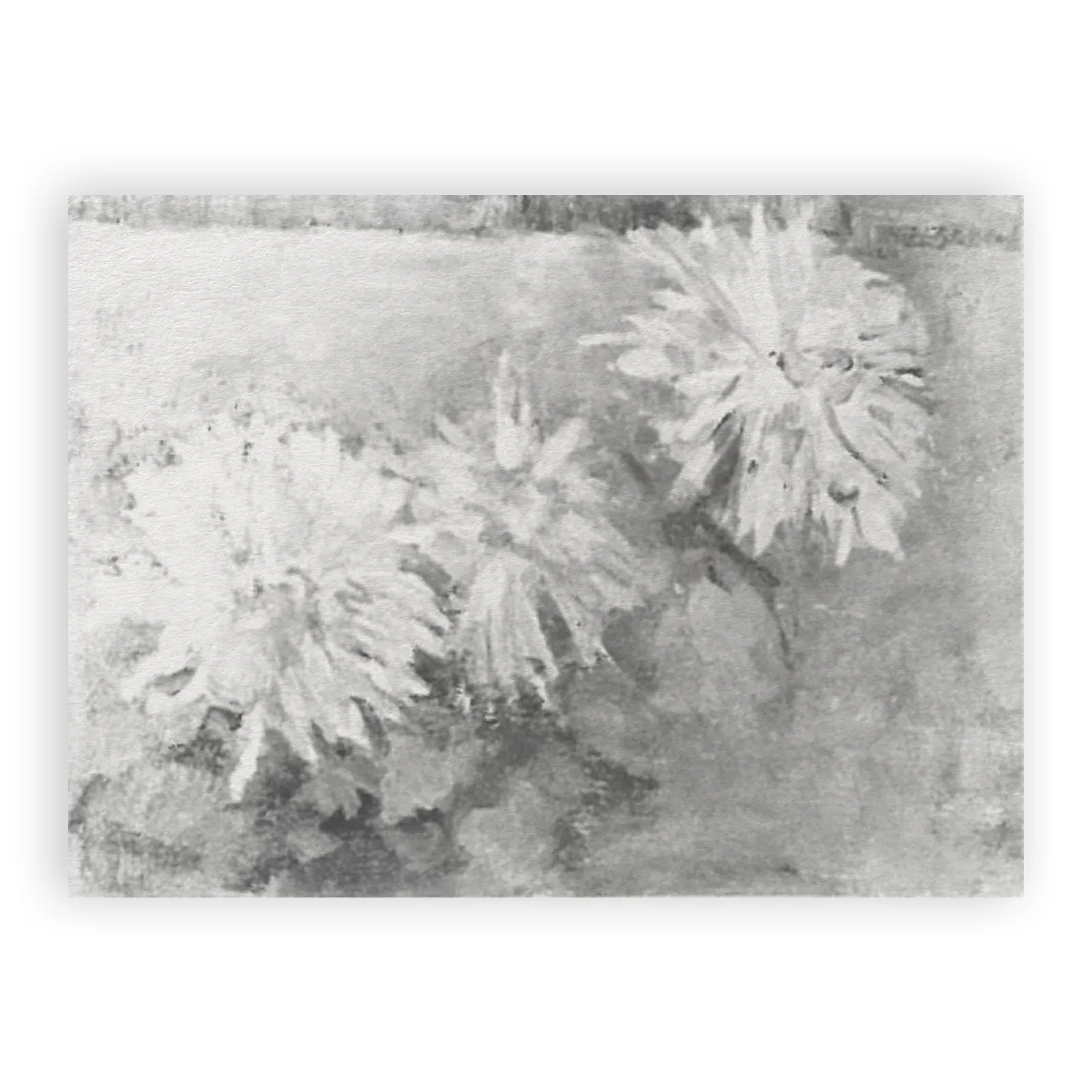 Three Chrysanthemum Blossoms by Piet Mondrian - view 6 thumbnail