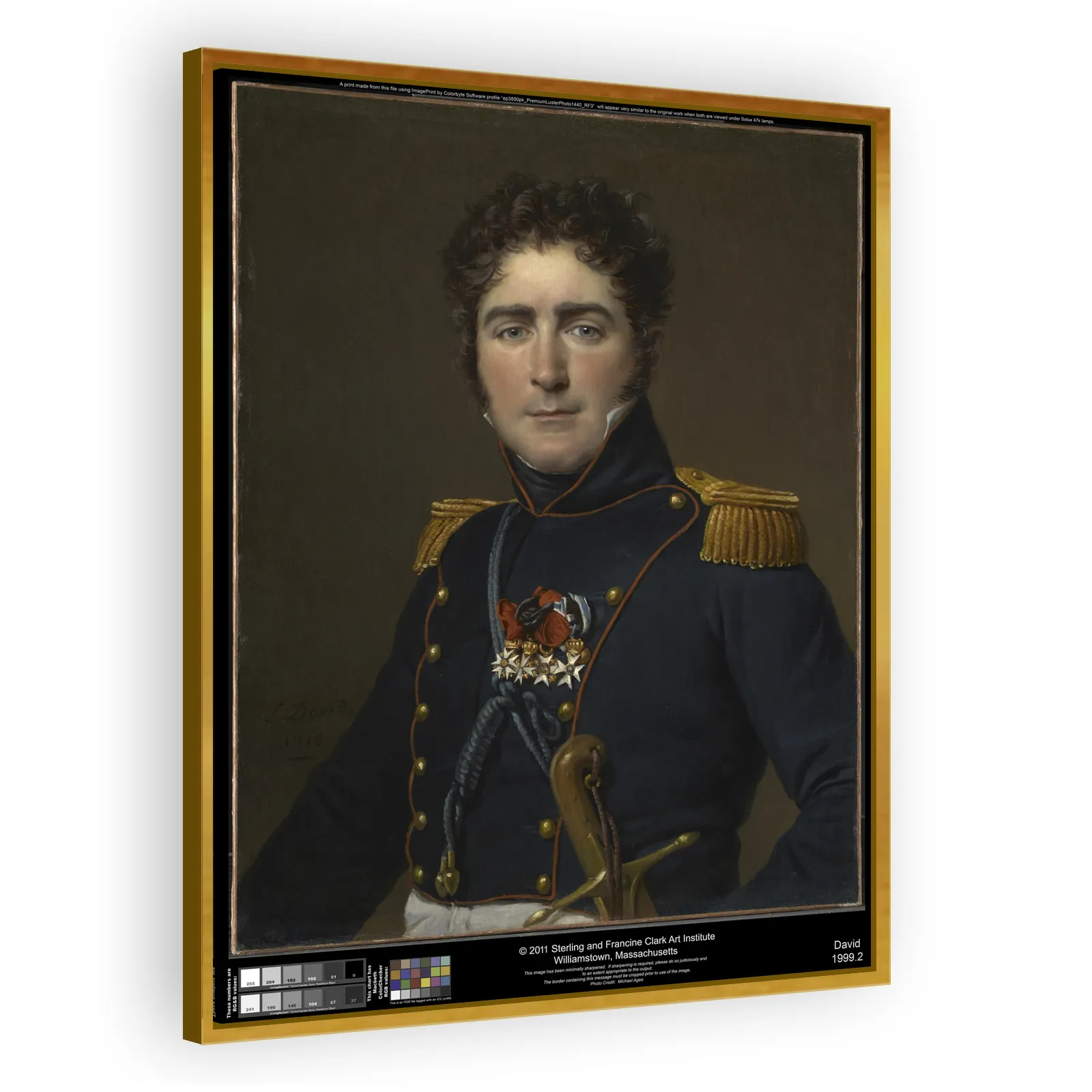 Comte Henri-Amédée-Mercure de Turenne-d'Aynac by Jacques Louis David - view 3 thumbnail