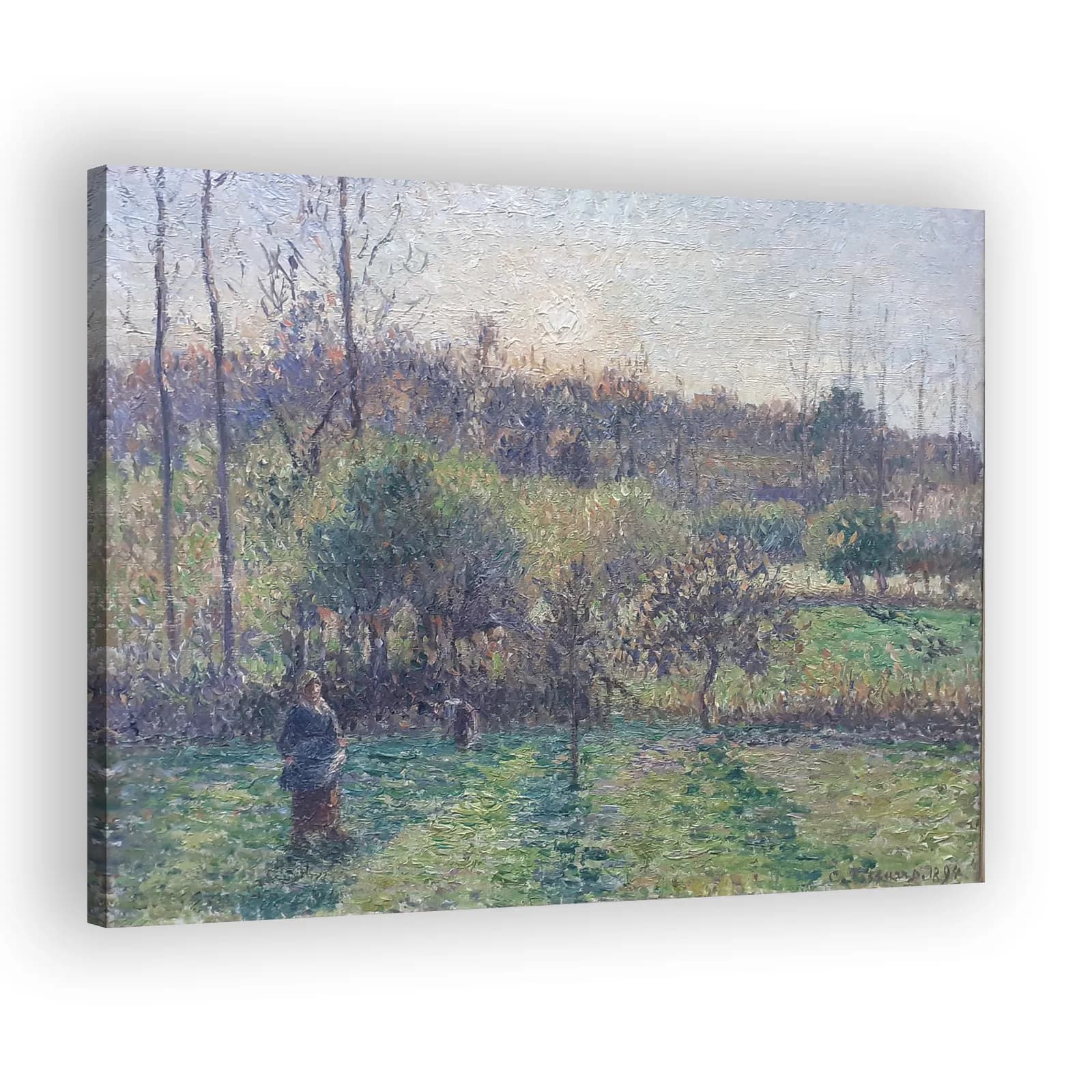À Eragny, dans mon pré, soleil couchant by Camille Pissarro - view 2 thumbnail