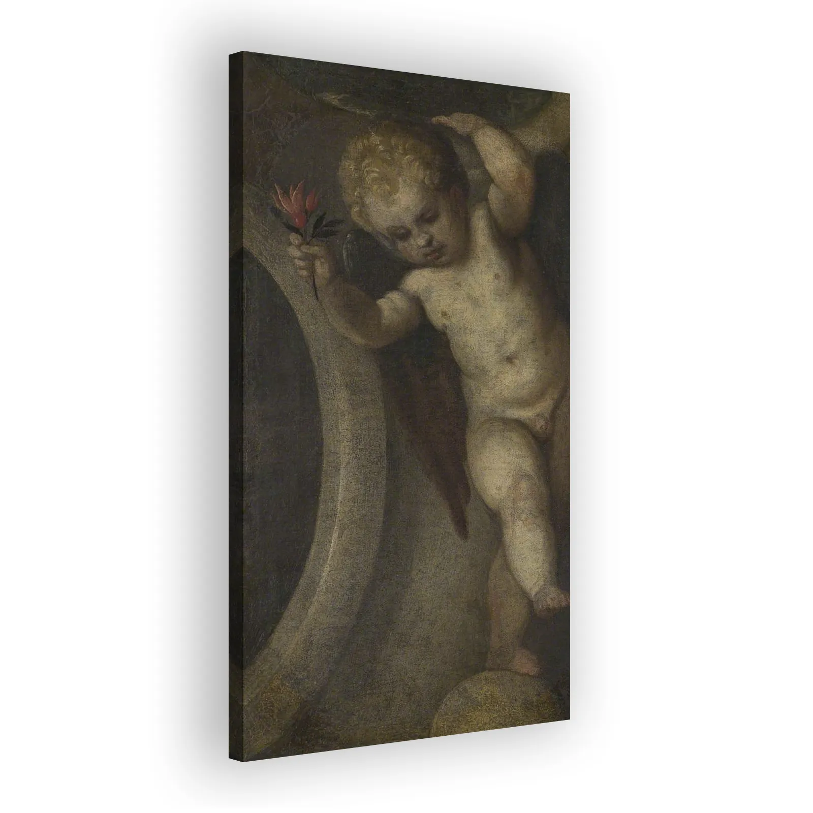Putto with a Red Flower by Paolo Veronese - view 2 thumbnail
