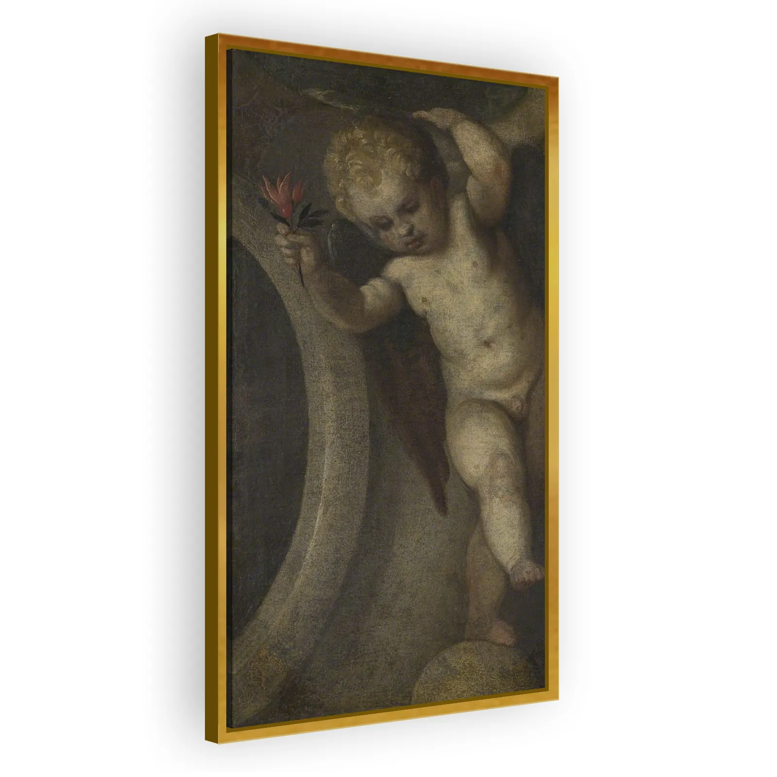 Putto with a Red Flower by Paolo Veronese - view 3 thumbnail
