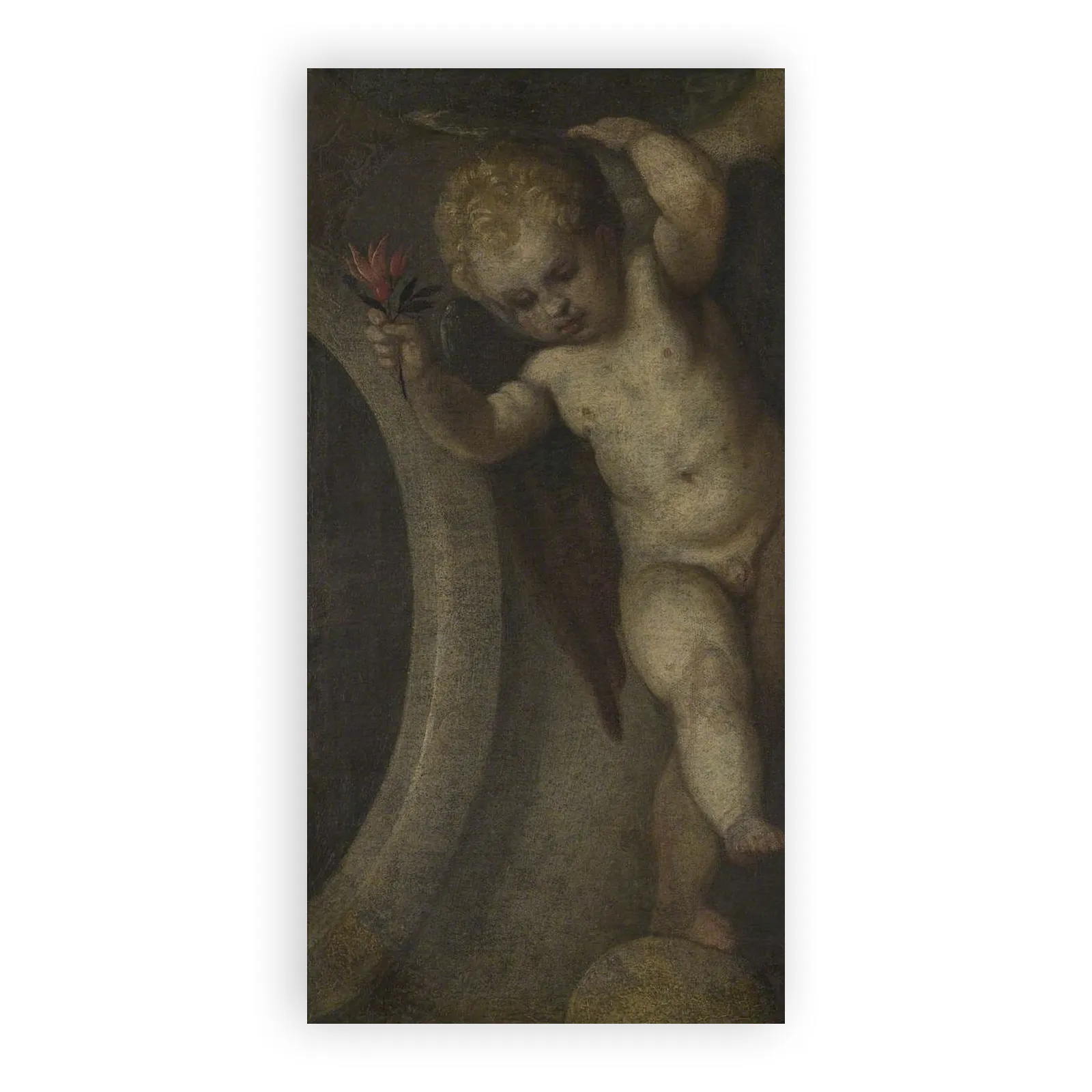 Putto with a Red Flower by Paolo Veronese - view 6 thumbnail