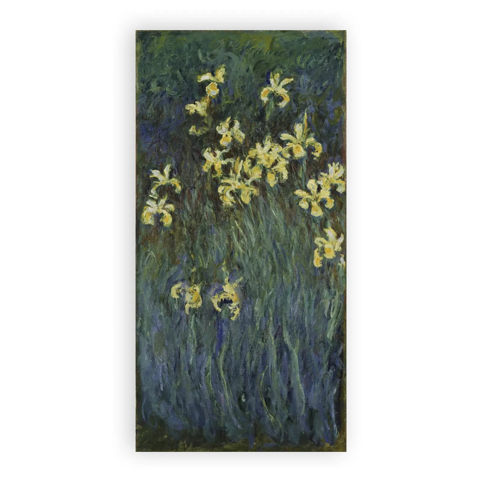 Yellow Irises by Claude Monet - view 6 thumbnail