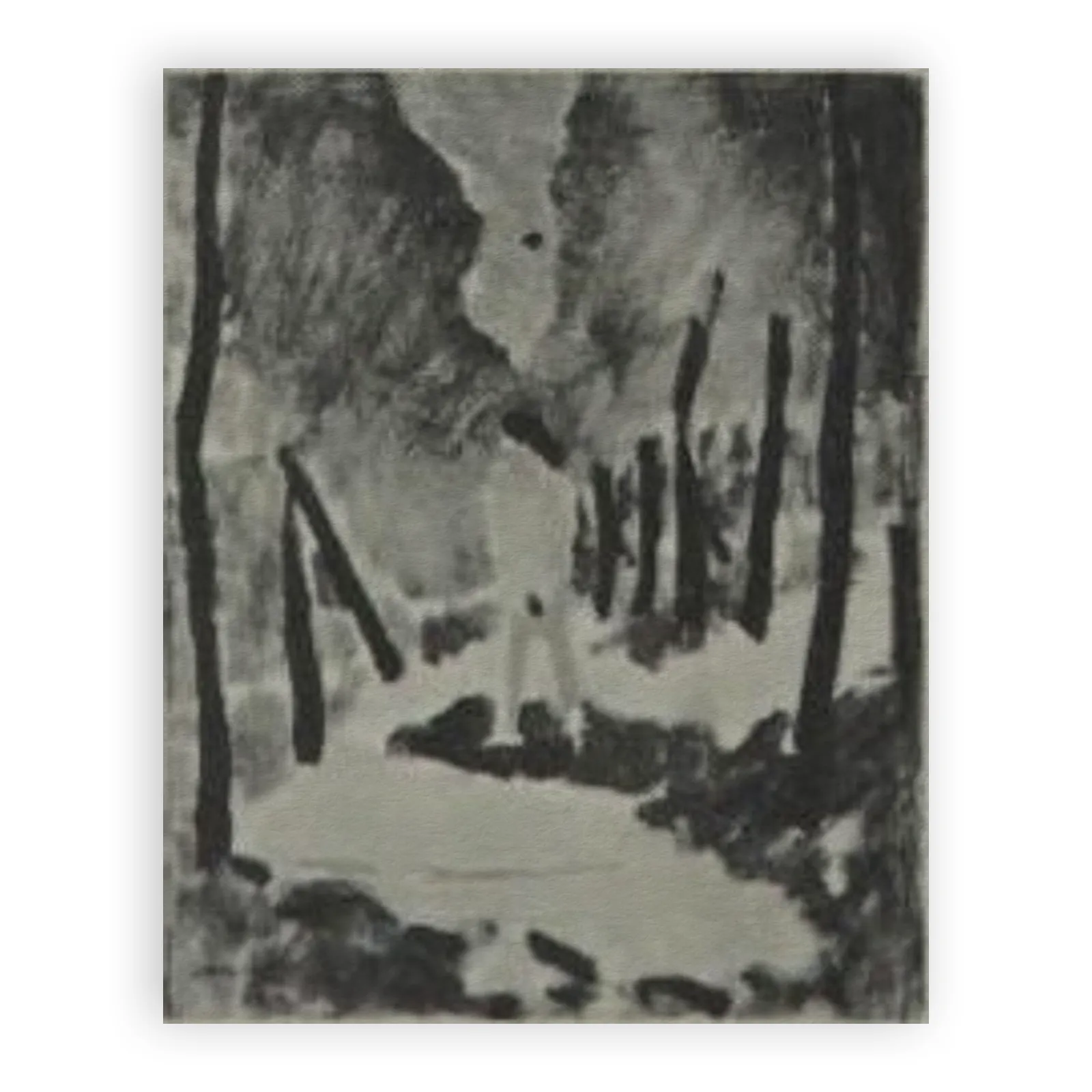 Nude in a Forest by Henri Matisse - view 6 thumbnail