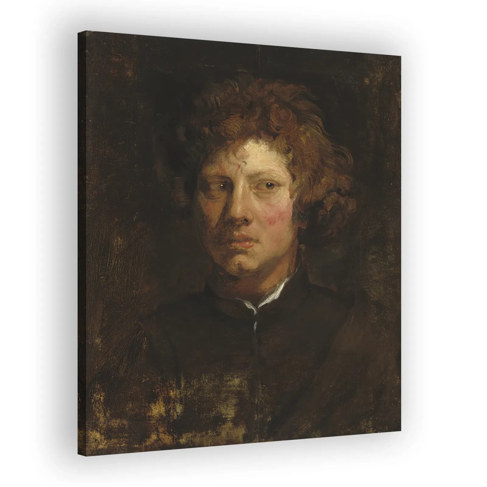 Head of a Young Man by Anthony Van Dyck - view 2 thumbnail