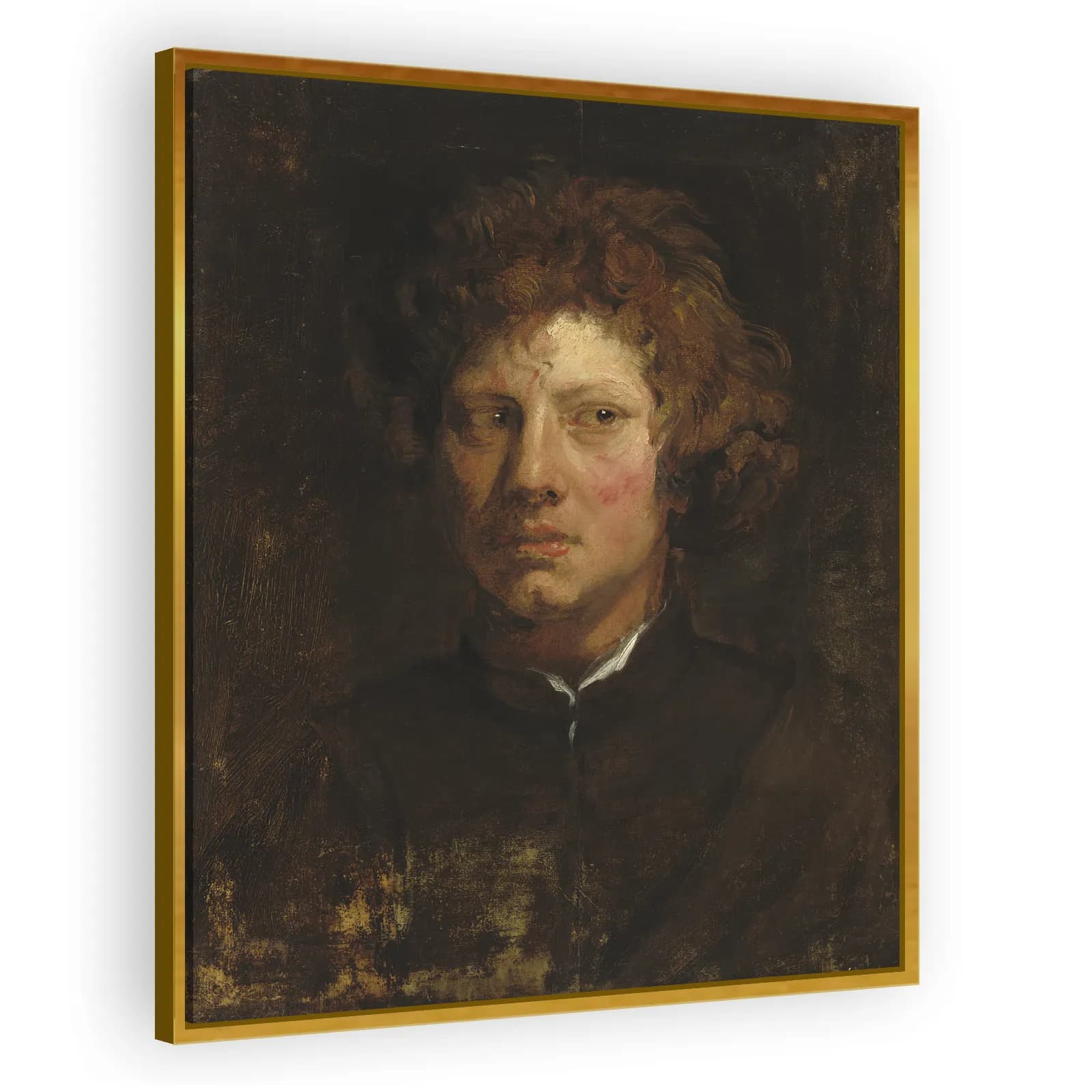 Head of a Young Man by Anthony Van Dyck - view 3 thumbnail