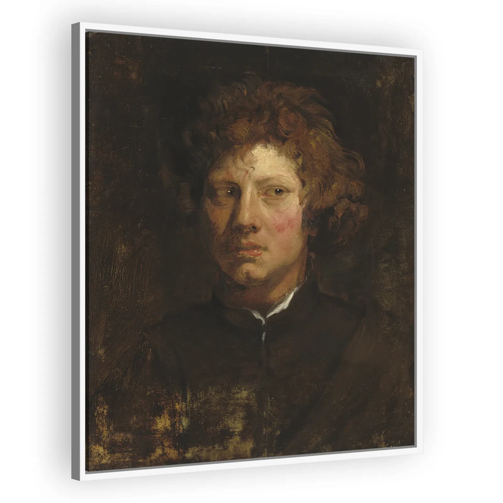 Head of a Young Man by Anthony Van Dyck - view 5 thumbnail