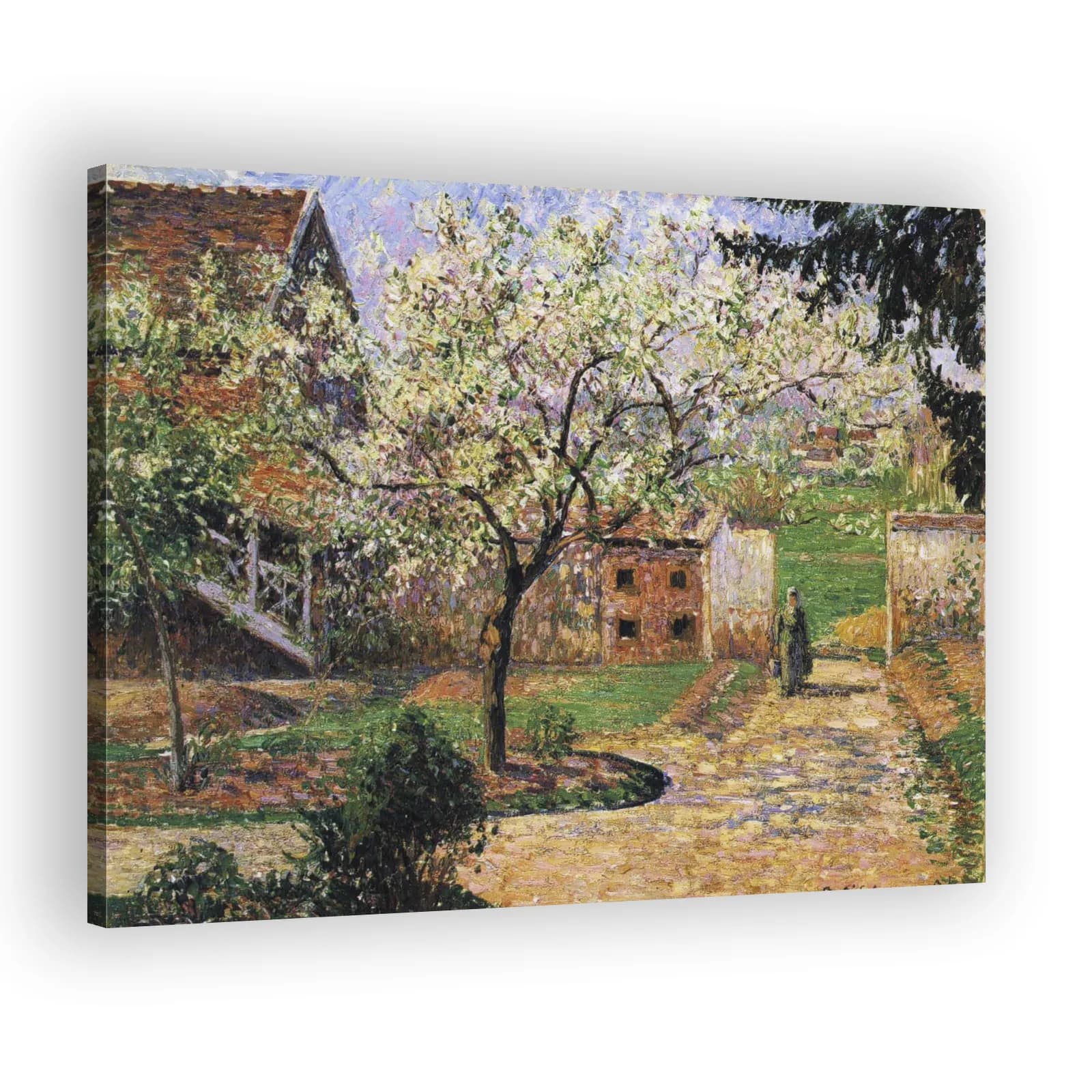 Plum Trees in Blossom, Éragny by Camille Pissarro - view 2 thumbnail