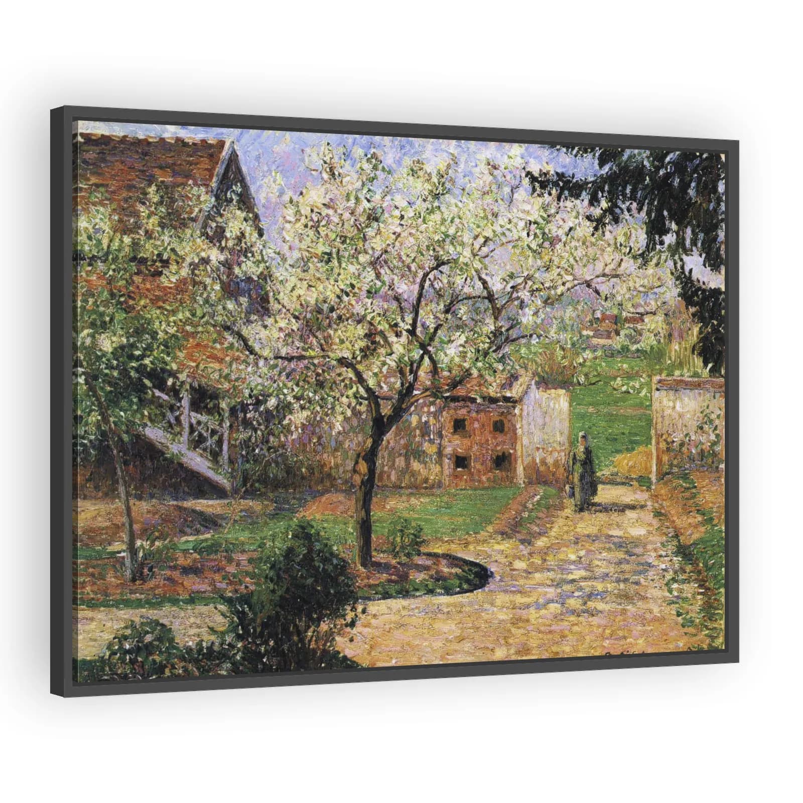 Plum Trees in Blossom, Éragny by Camille Pissarro