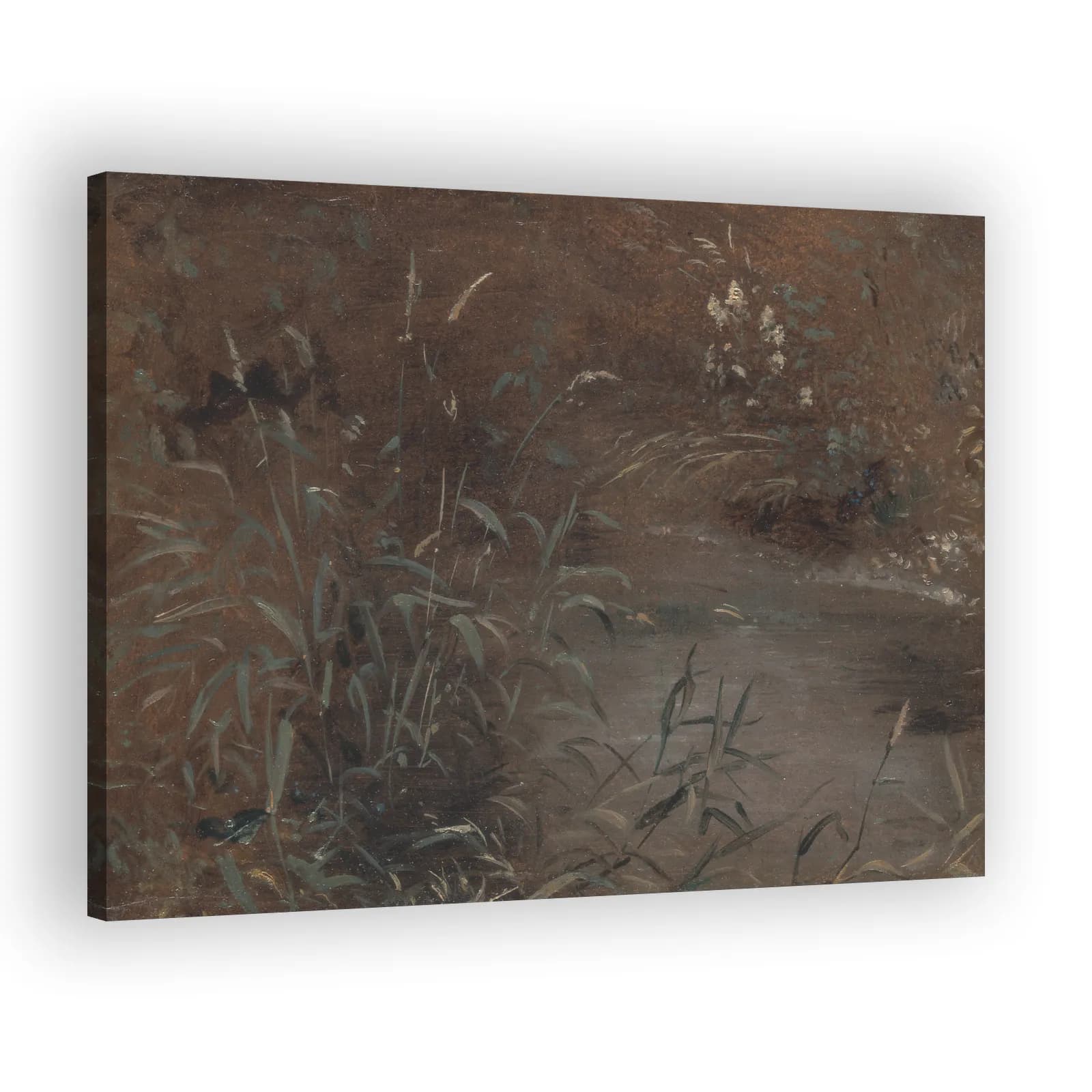 Rushes by a Pool by John Constable - view 2 thumbnail