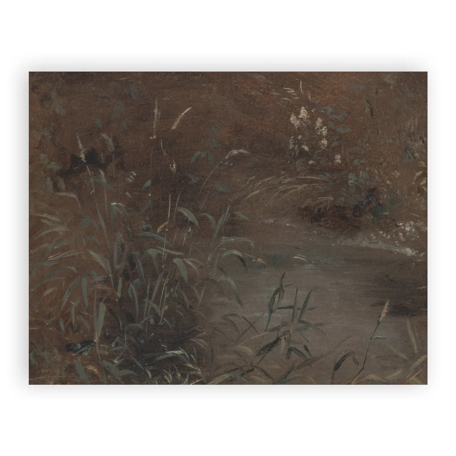 Rushes by a Pool by John Constable - view 6 thumbnail