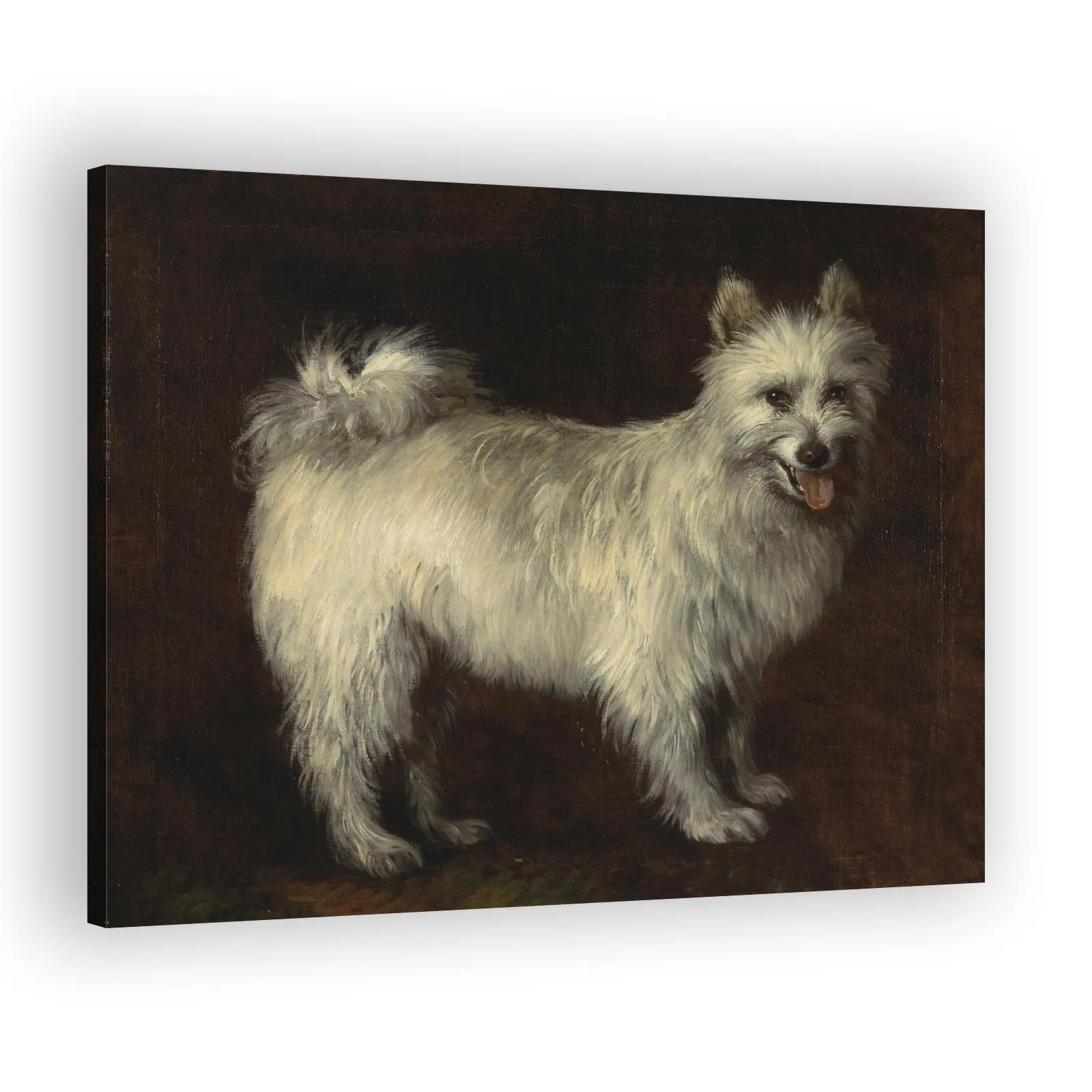 Spitz Dog by Thomas Gainsborough - view 2 thumbnail