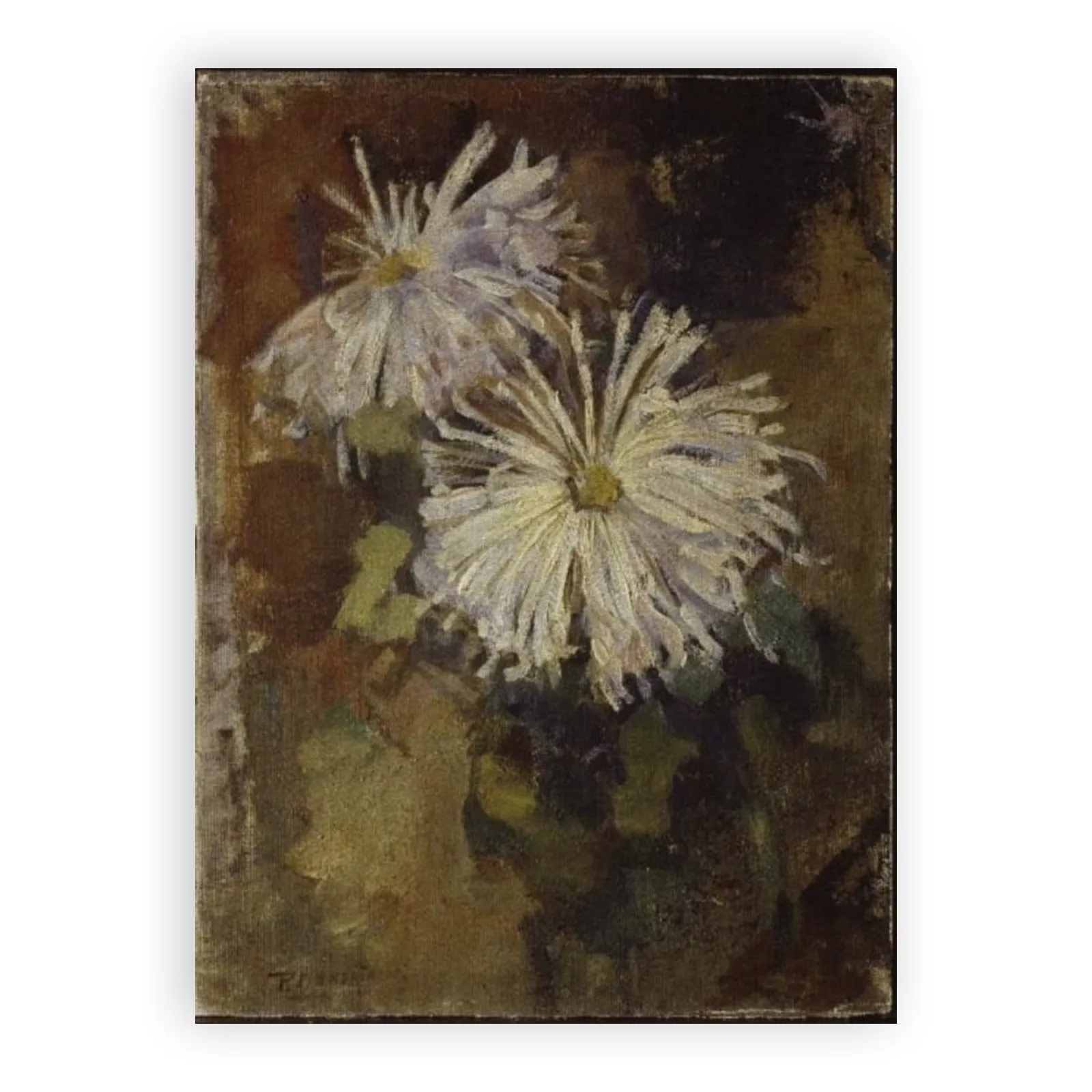 Two Chrysanthemum Blossoms by Piet Mondrian - view 6 thumbnail