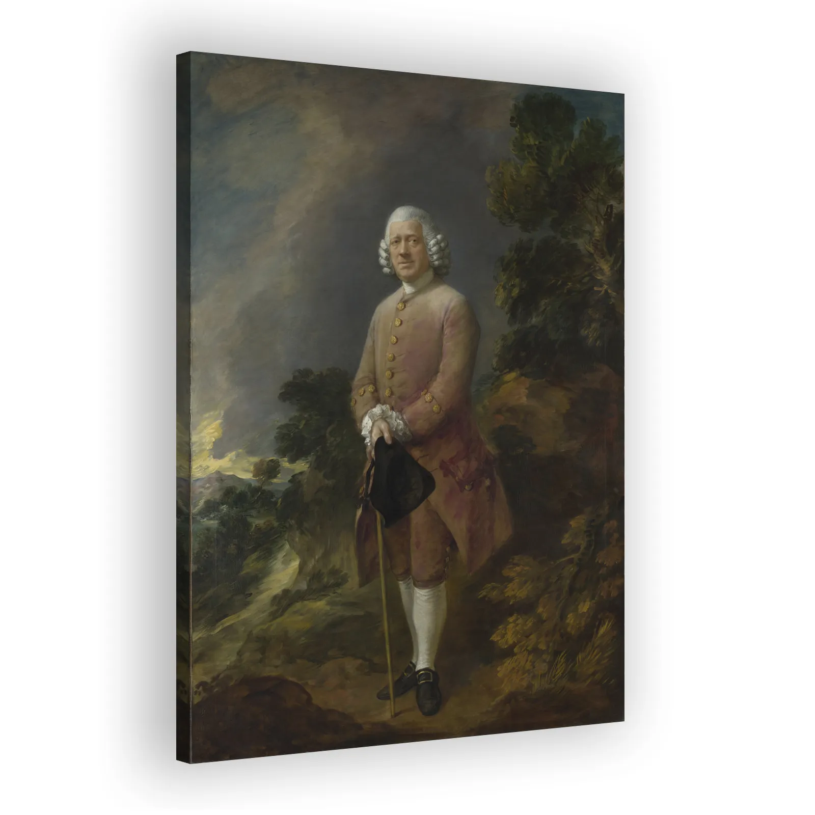 Dr Ralph Schomberg by Thomas Gainsborough - view 2 thumbnail