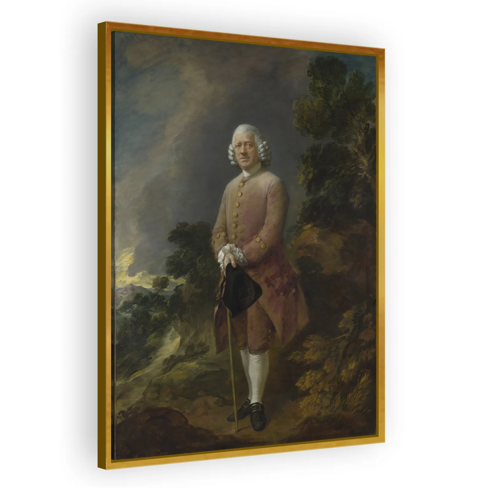 Dr Ralph Schomberg by Thomas Gainsborough - view 3 thumbnail