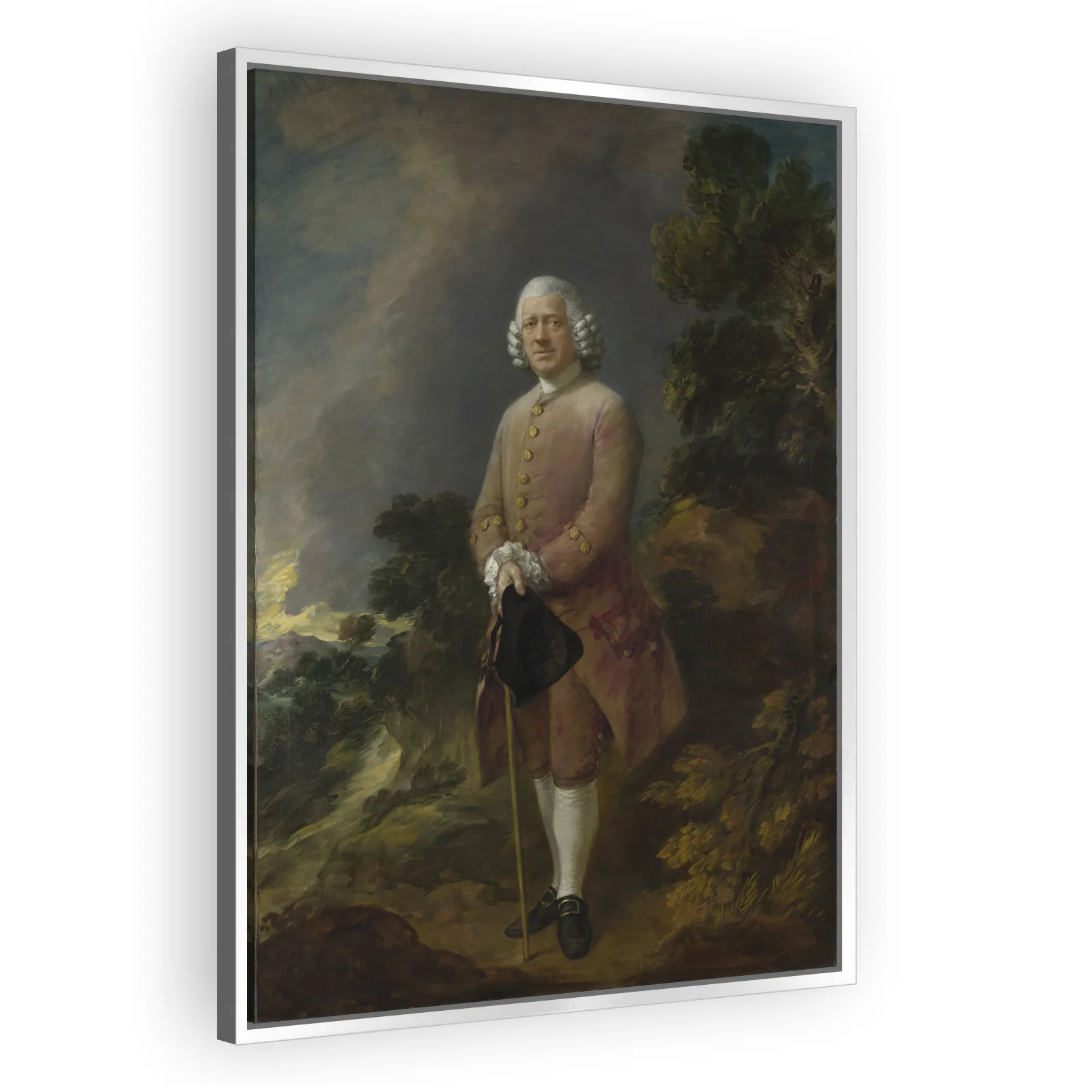 Dr Ralph Schomberg by Thomas Gainsborough - view 4 thumbnail