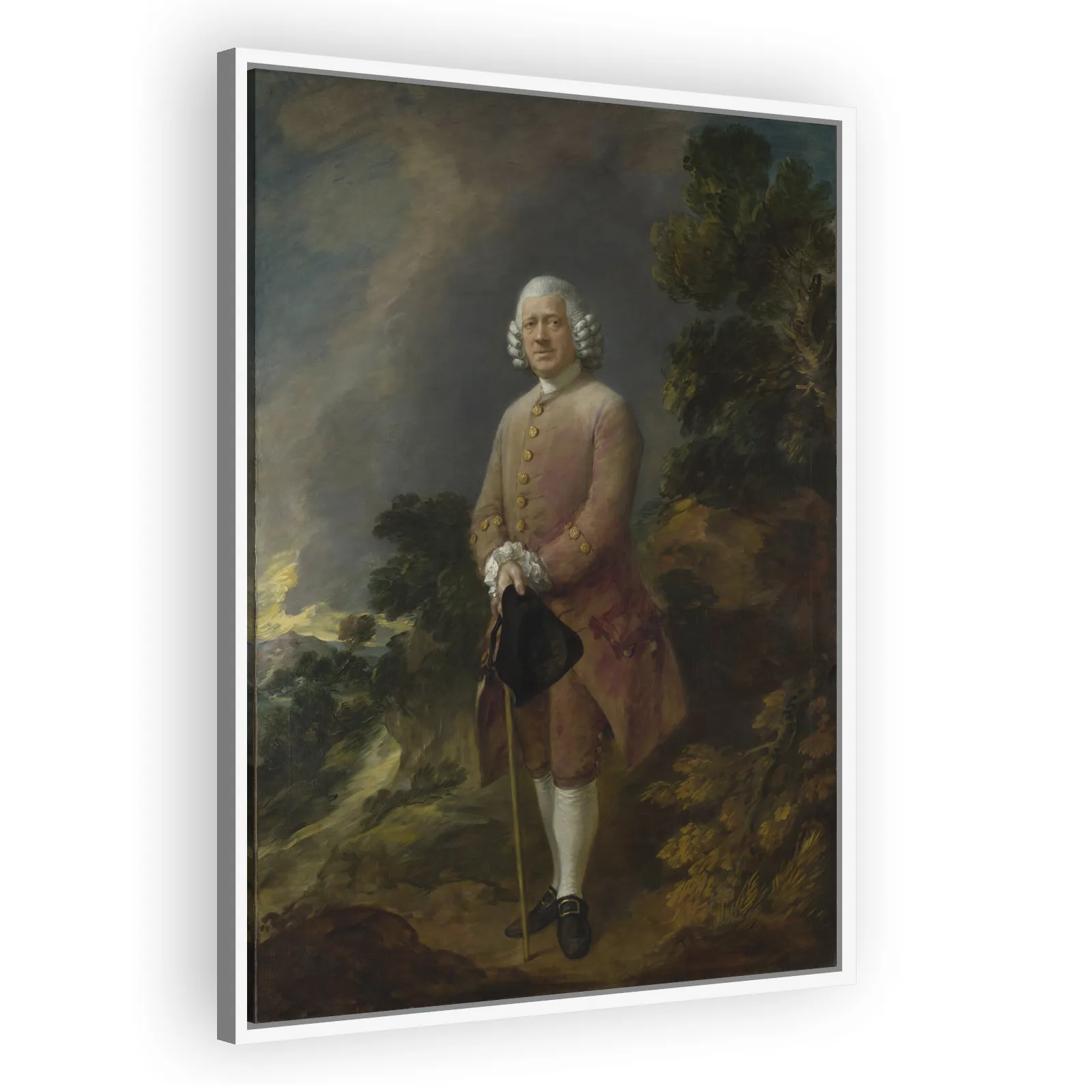 Dr Ralph Schomberg by Thomas Gainsborough - view 5 thumbnail