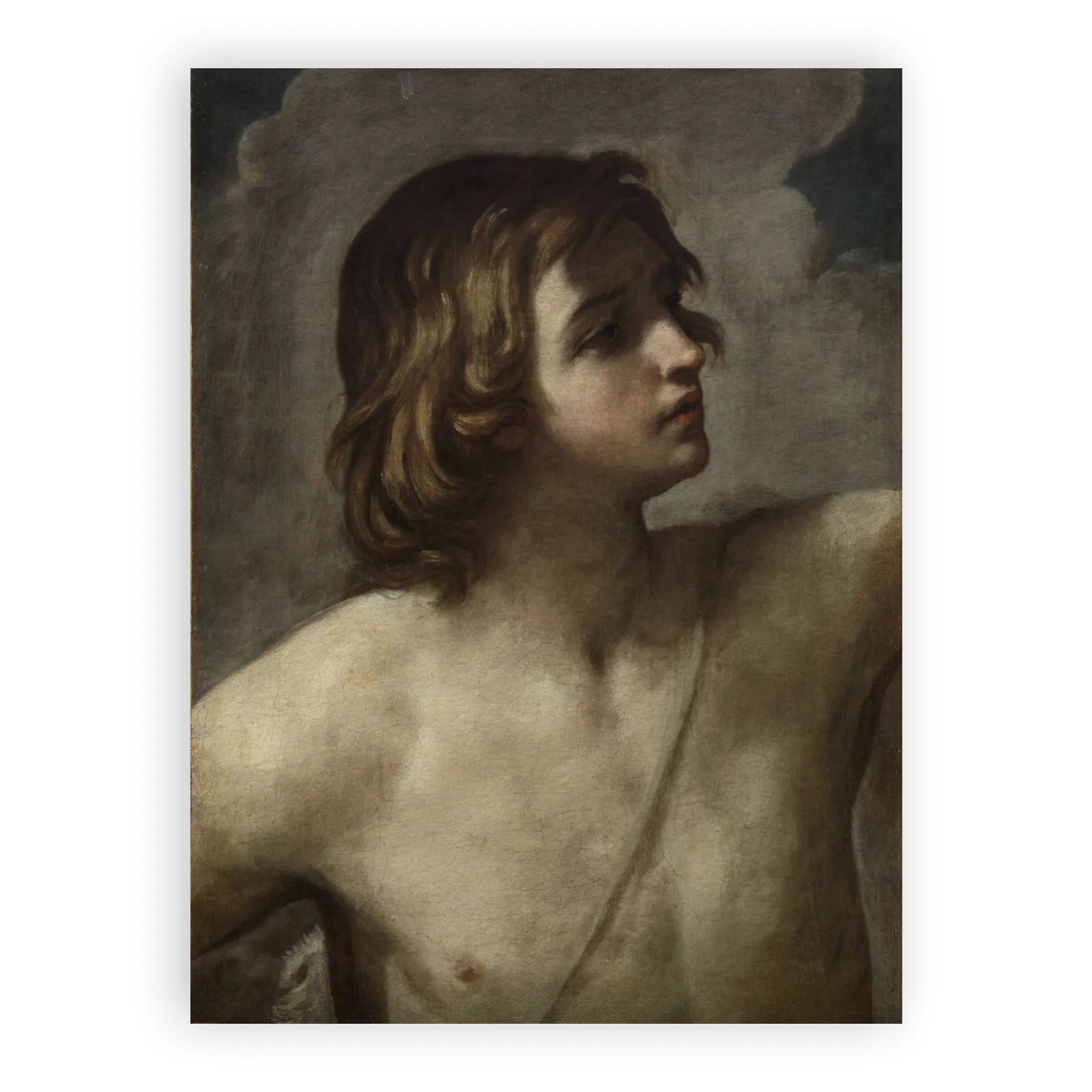 The Young David by Guido Reni - view 6 thumbnail