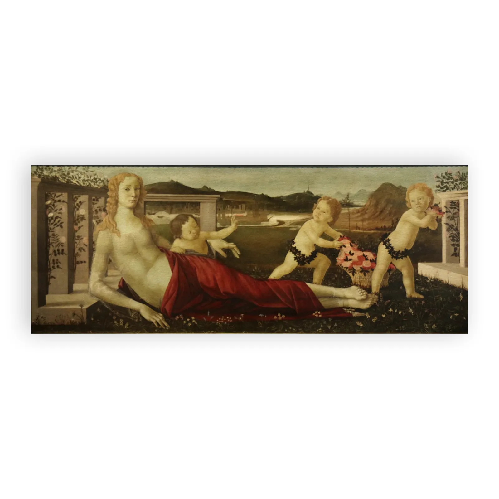 Q29651893 by Sandro Botticelli - view 6 thumbnail