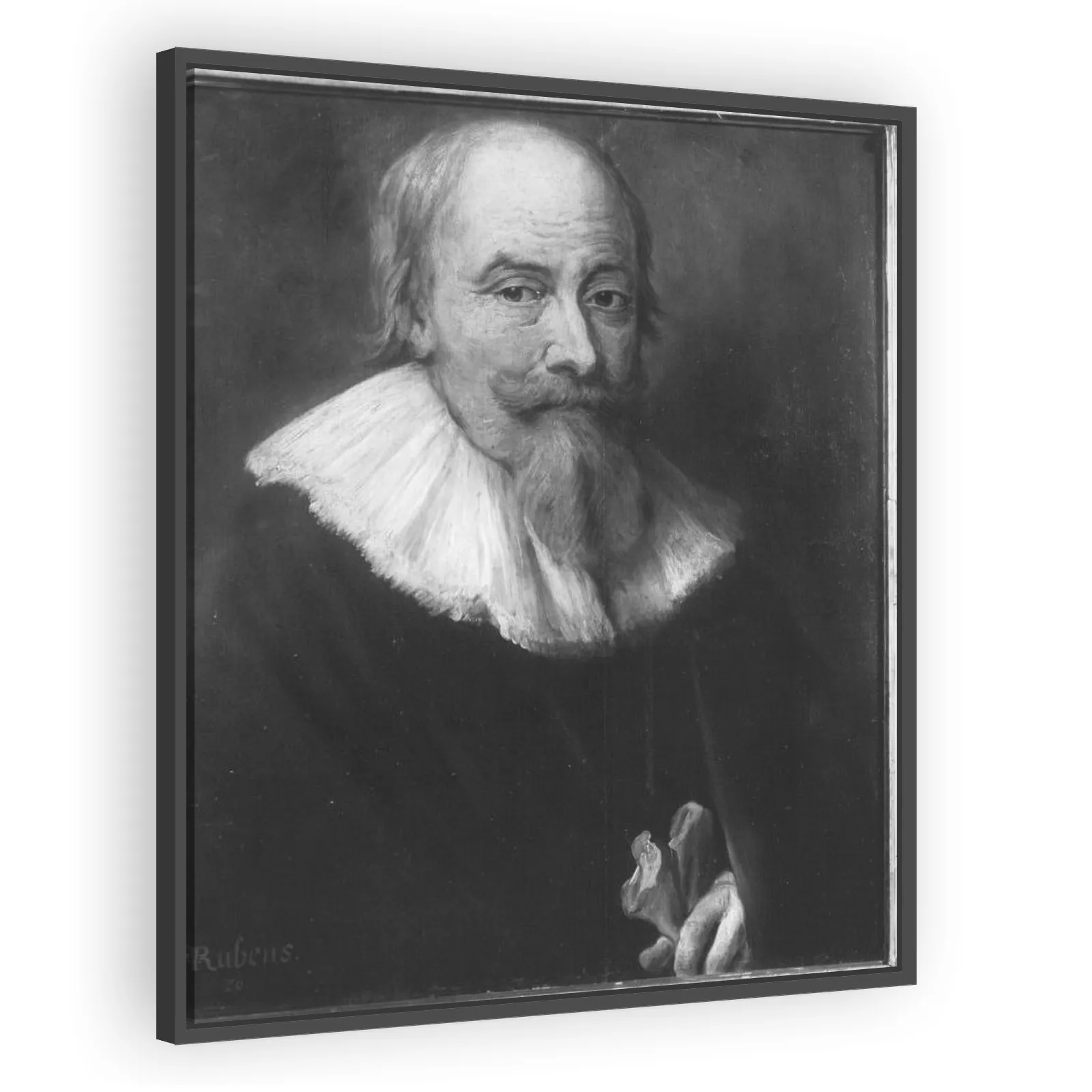 Bildnis eines alten Mannes by Peter Paul Rubens