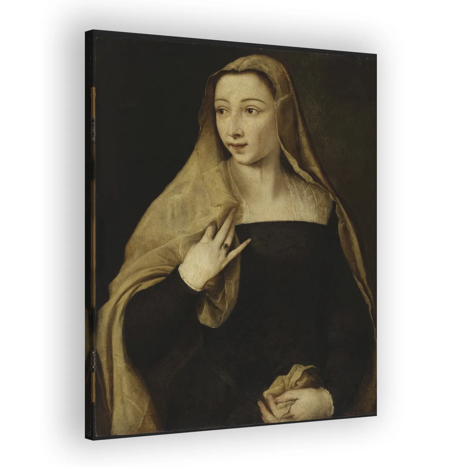 Portrait of Settimia Jacovacci (?) by Titian - view 2 thumbnail
