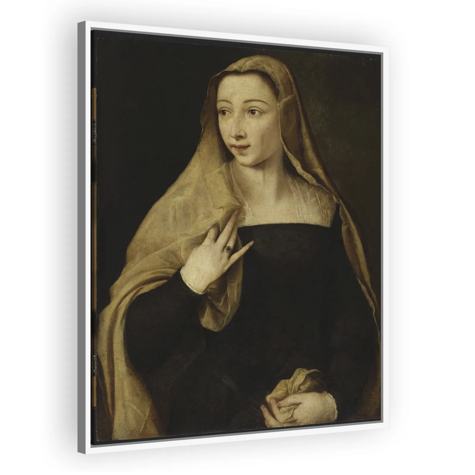 Portrait of Settimia Jacovacci (?) by Titian - view 5 thumbnail