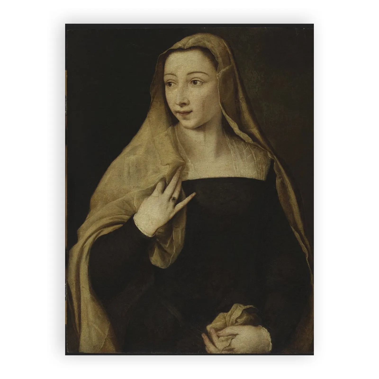 Portrait of Settimia Jacovacci (?) by Titian - view 6 thumbnail