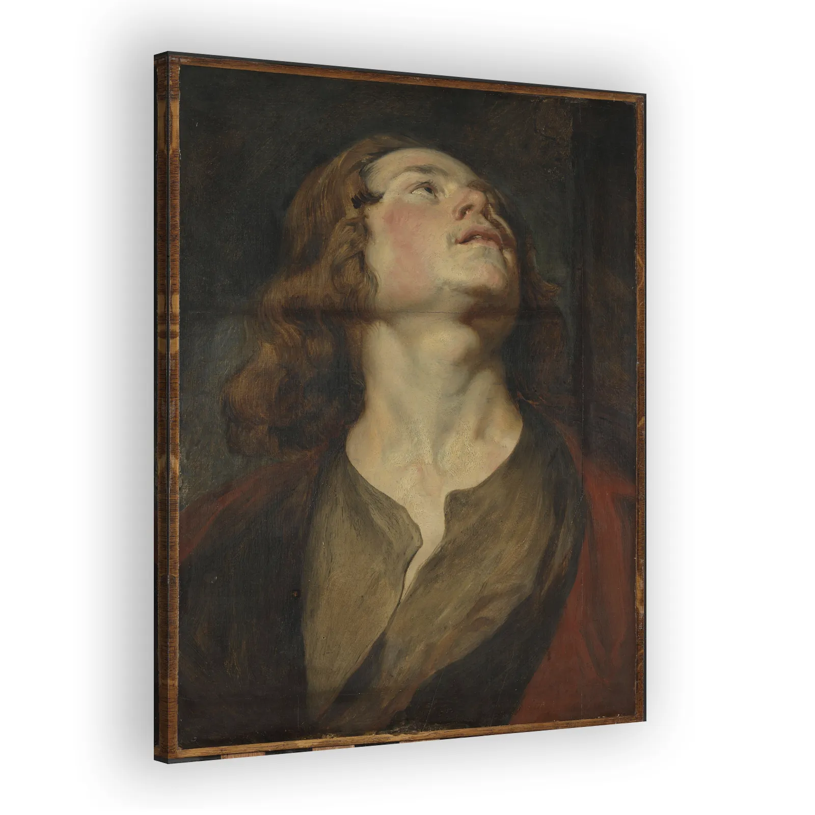 Head of Saint John by Anthony Van Dyck - view 2 thumbnail