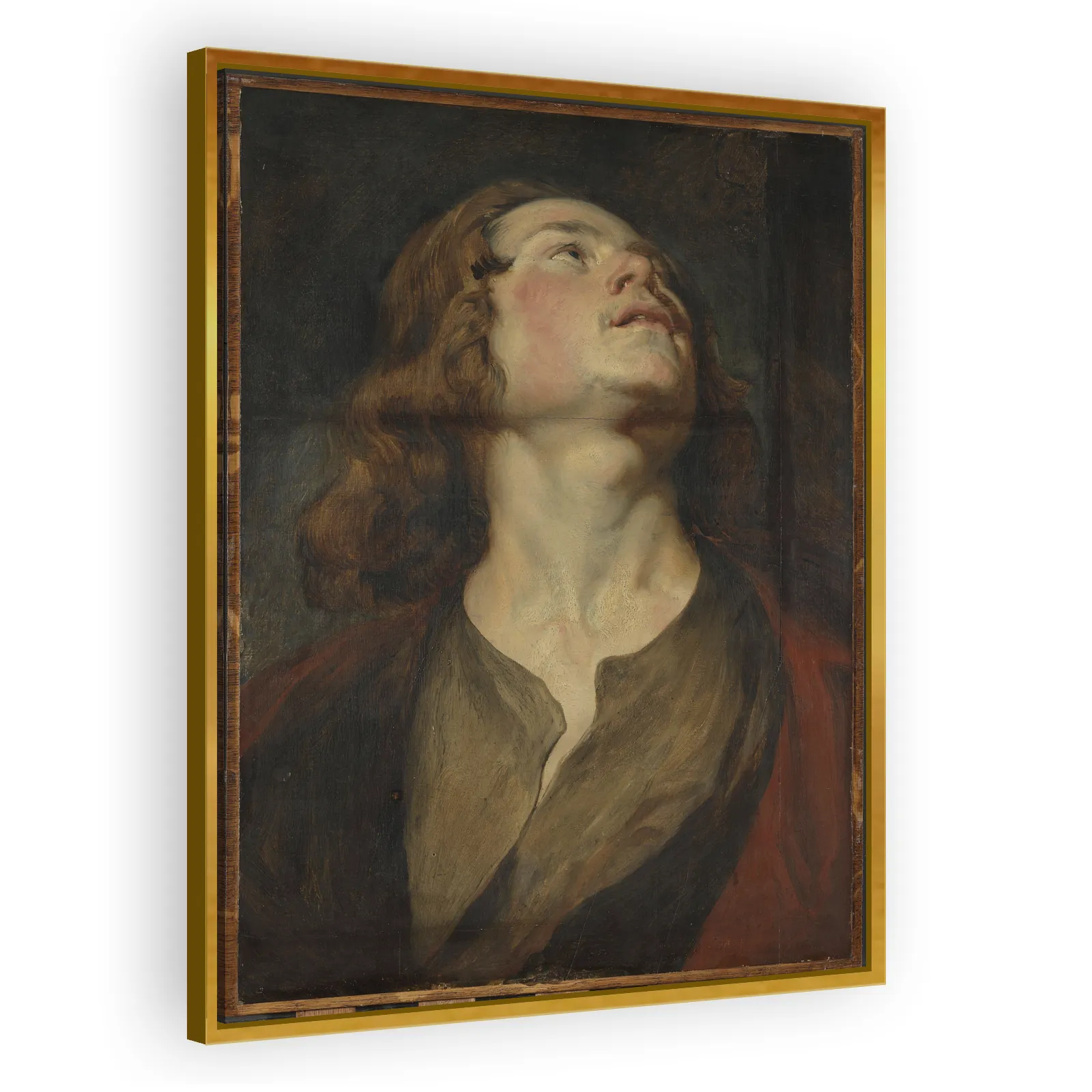 Head of Saint John by Anthony Van Dyck - view 3 thumbnail