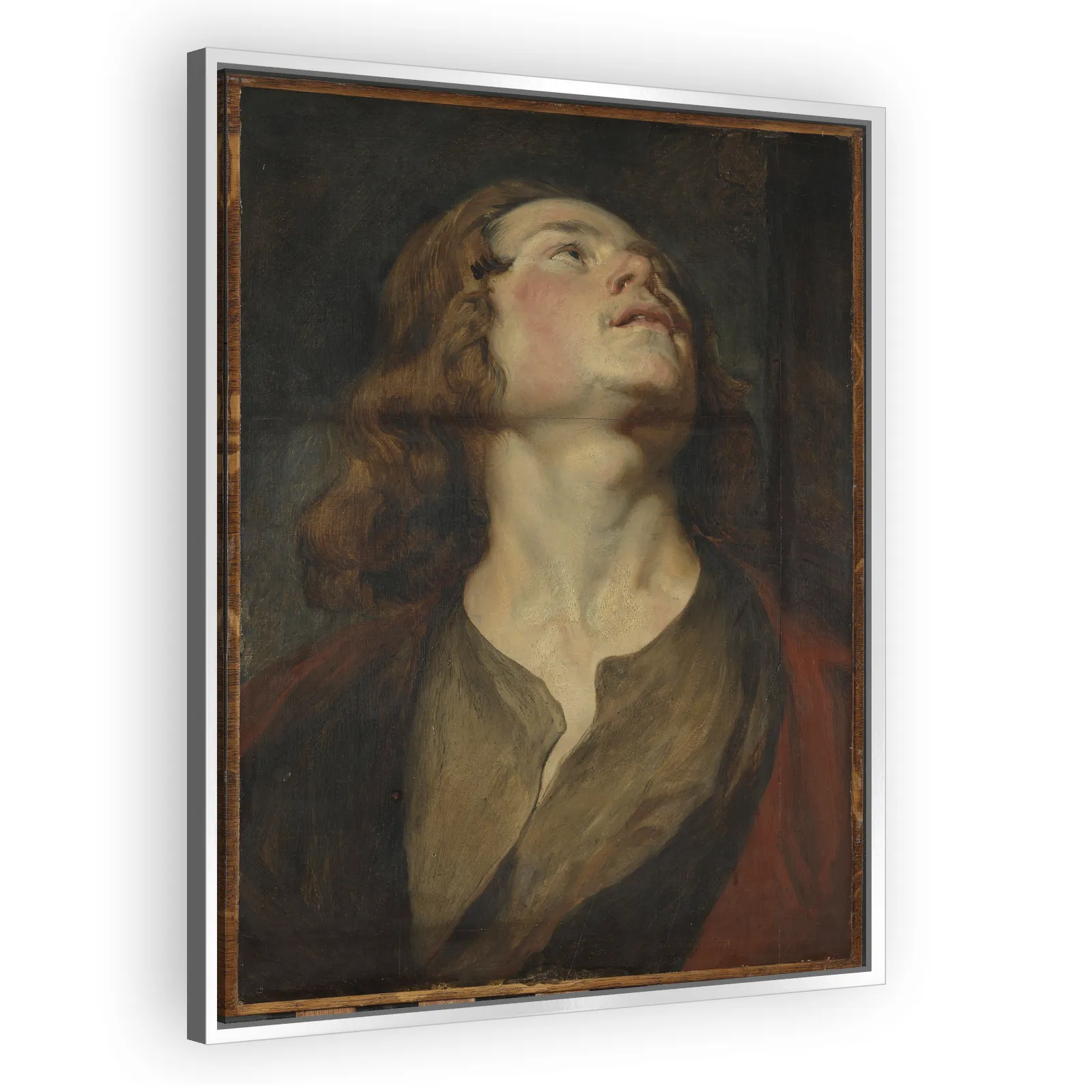 Head of Saint John by Anthony Van Dyck - view 4 thumbnail