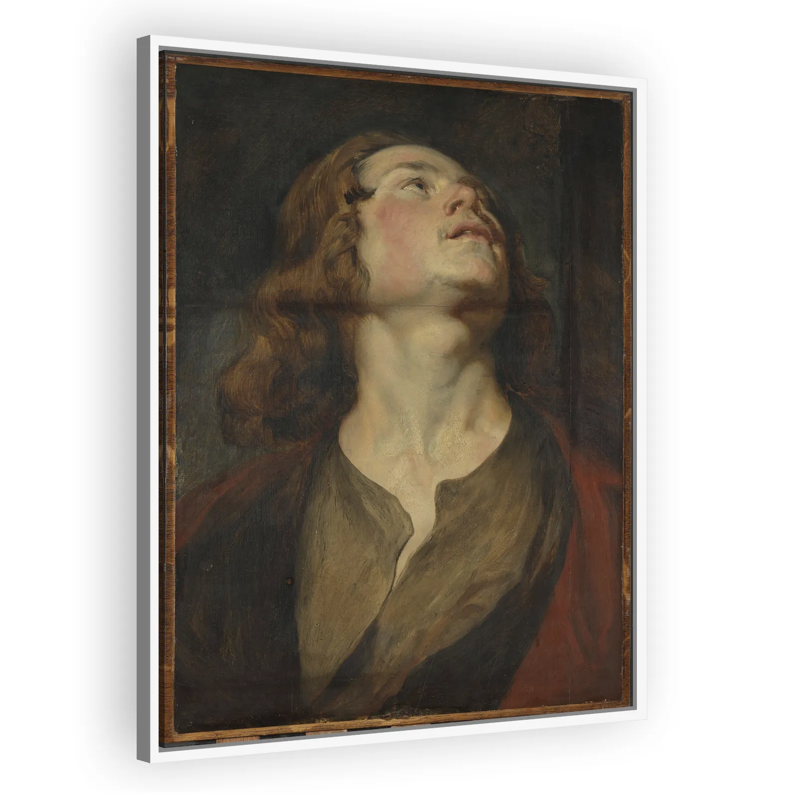 Head of Saint John by Anthony Van Dyck - view 5 thumbnail