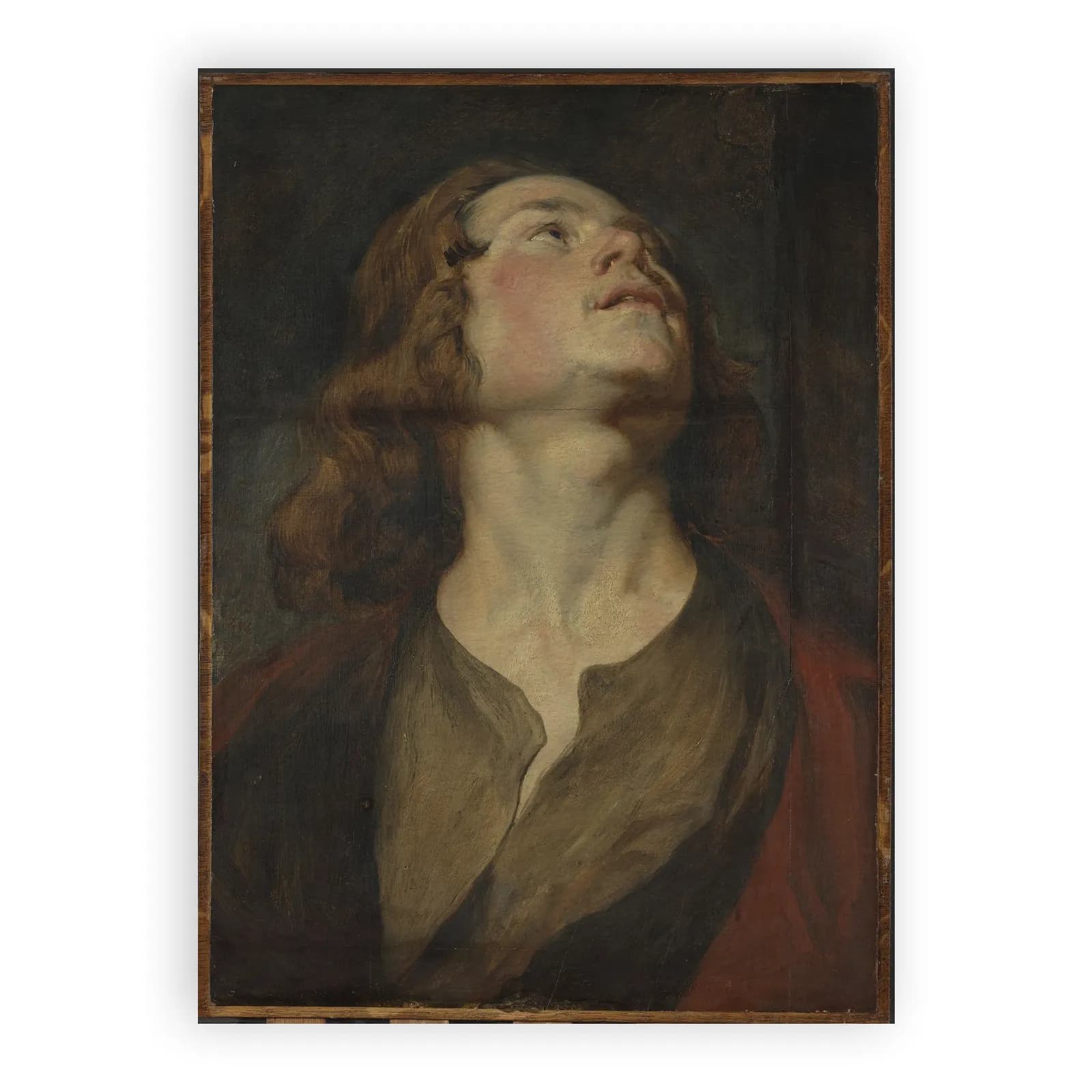 Head of Saint John by Anthony Van Dyck - view 6 thumbnail