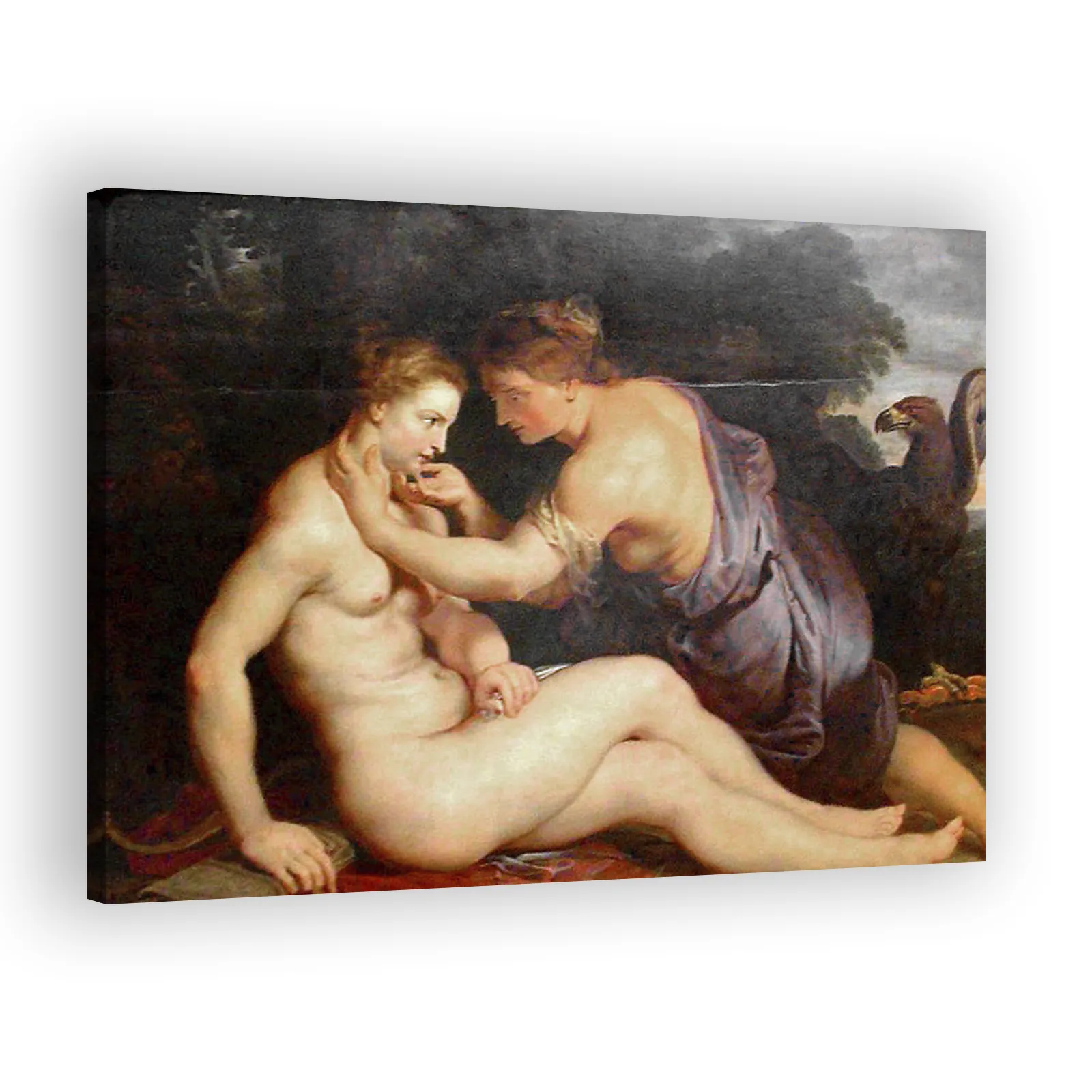 Jupiter and Callisto by Peter Paul Rubens - view 2 thumbnail