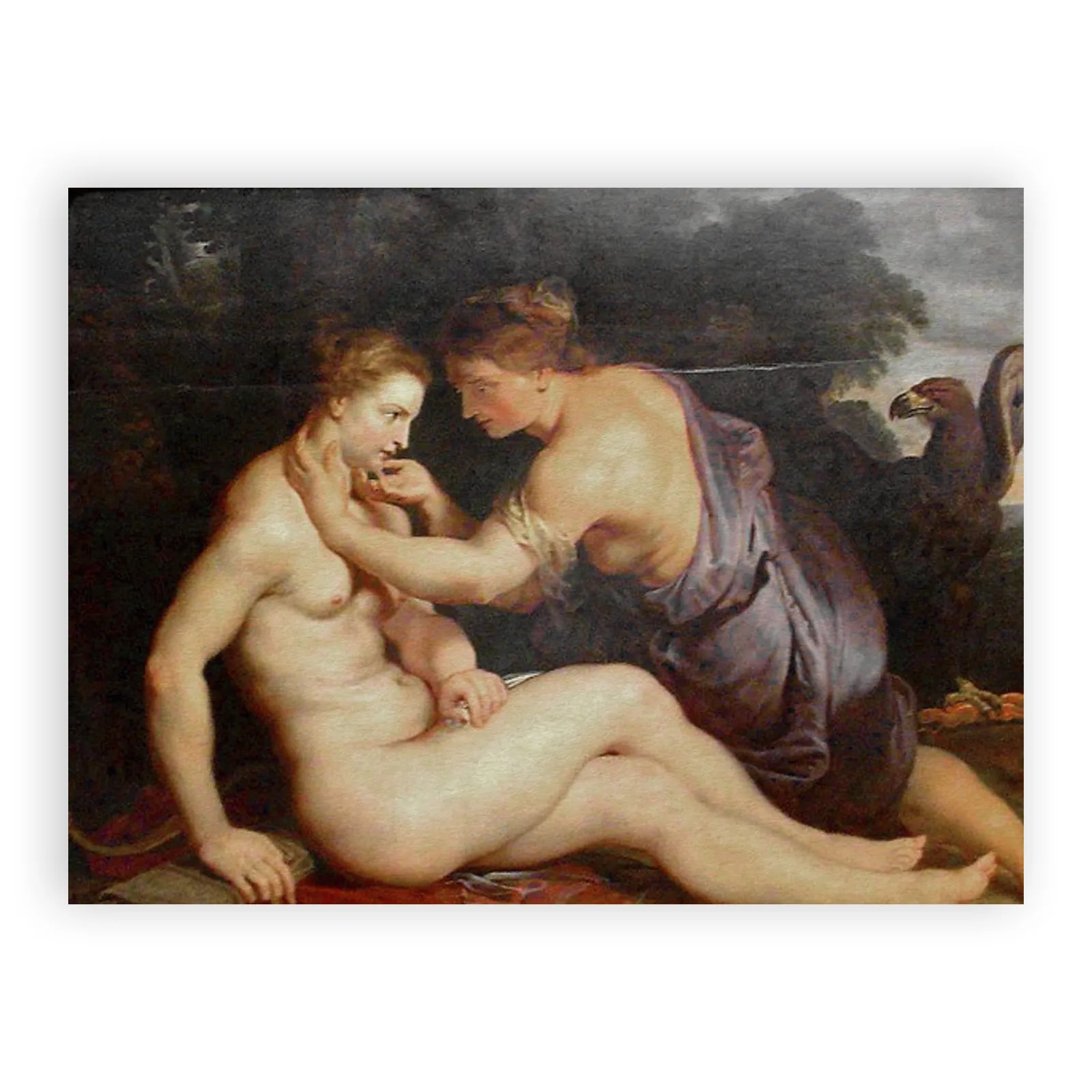 Jupiter and Callisto by Peter Paul Rubens - view 6 thumbnail