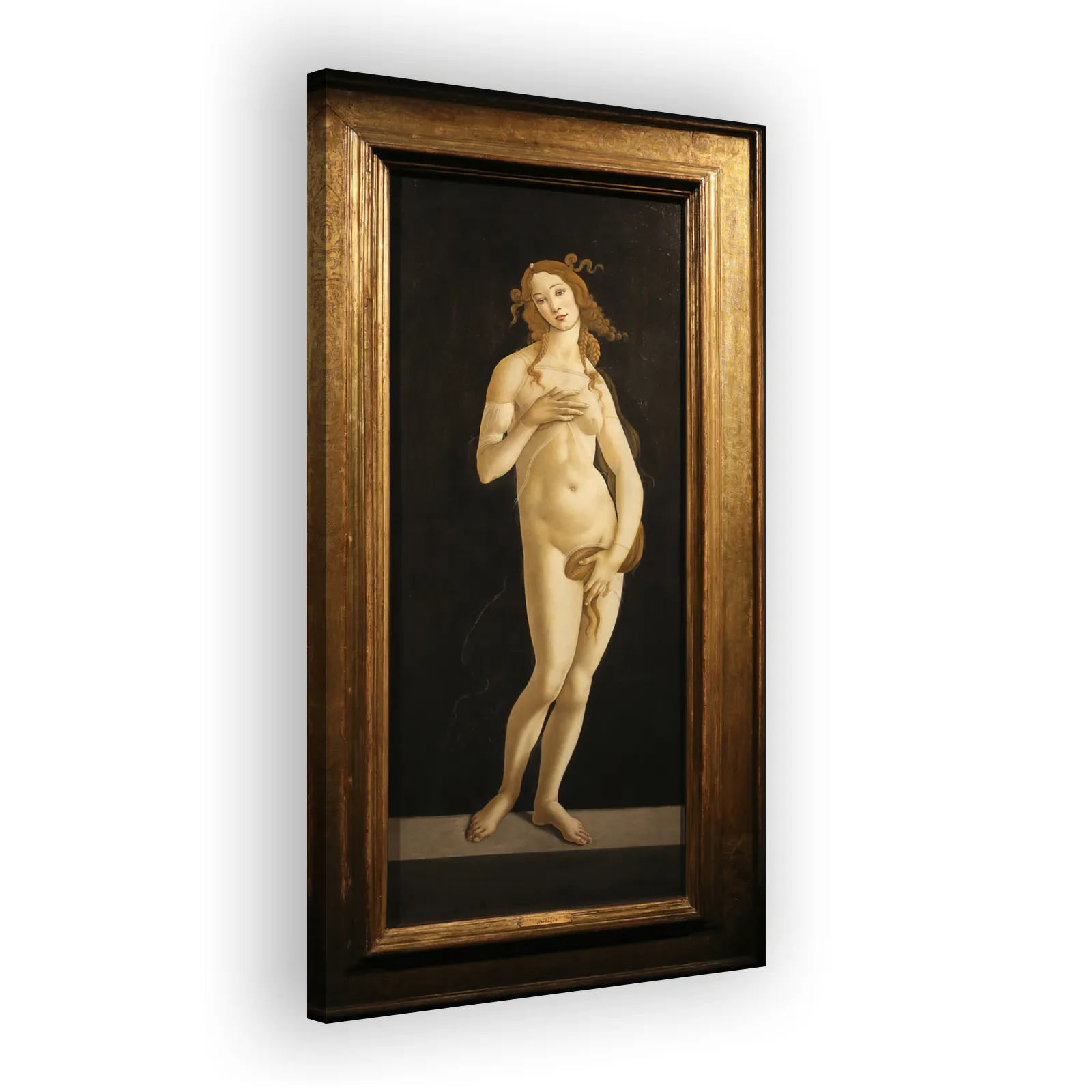 Venus by Sandro Botticelli - view 2 thumbnail