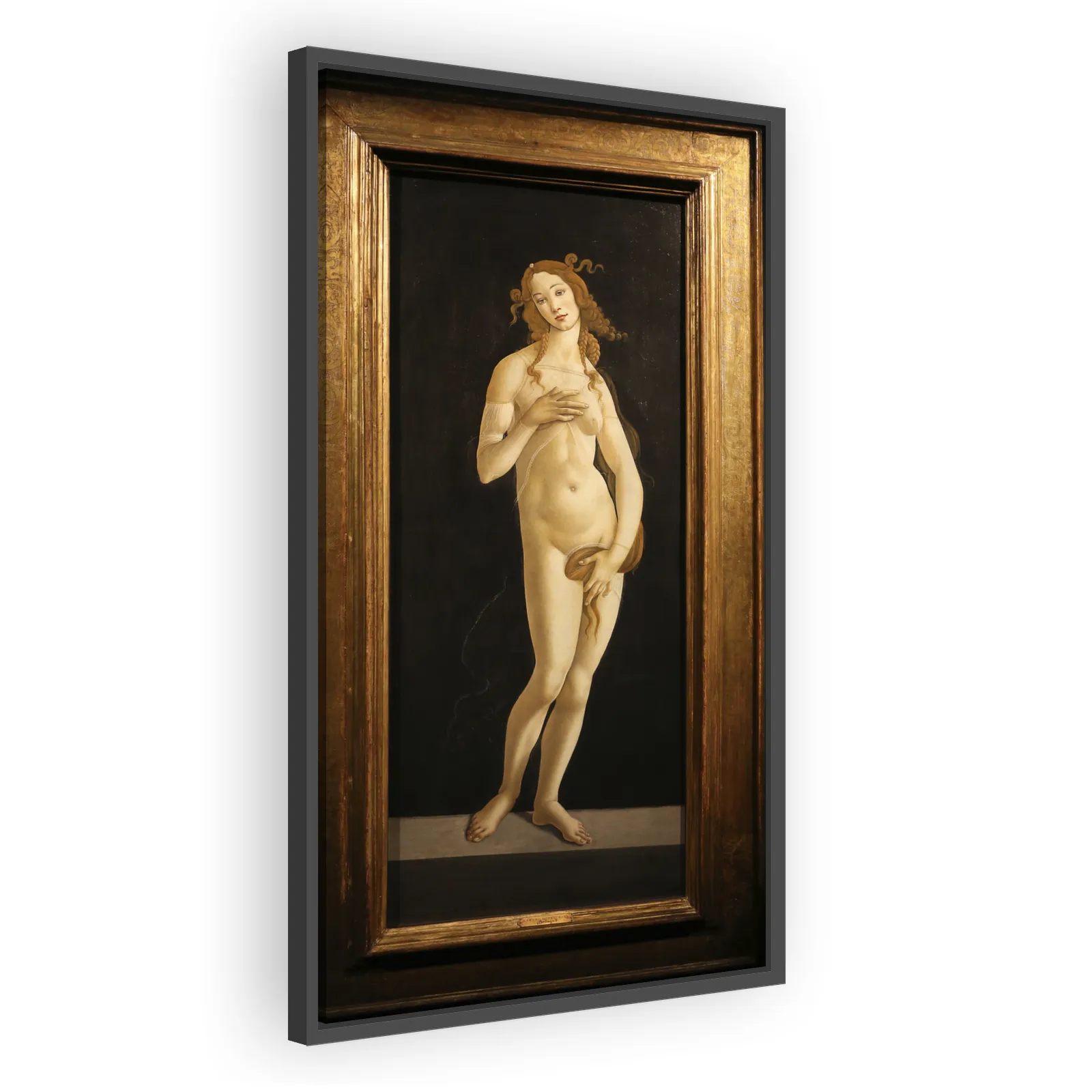 Venus by Sandro Botticelli