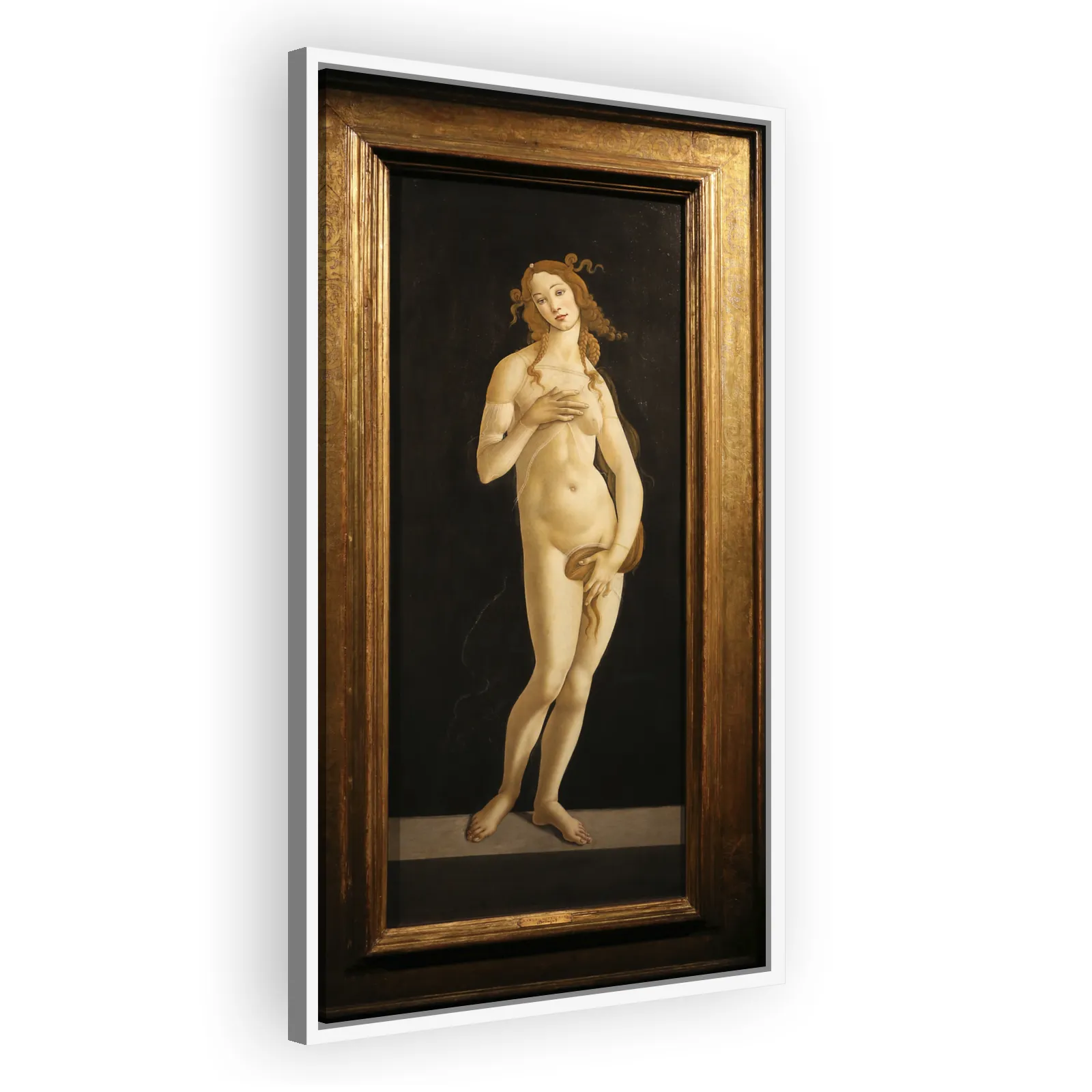 Venus by Sandro Botticelli - view 5 thumbnail