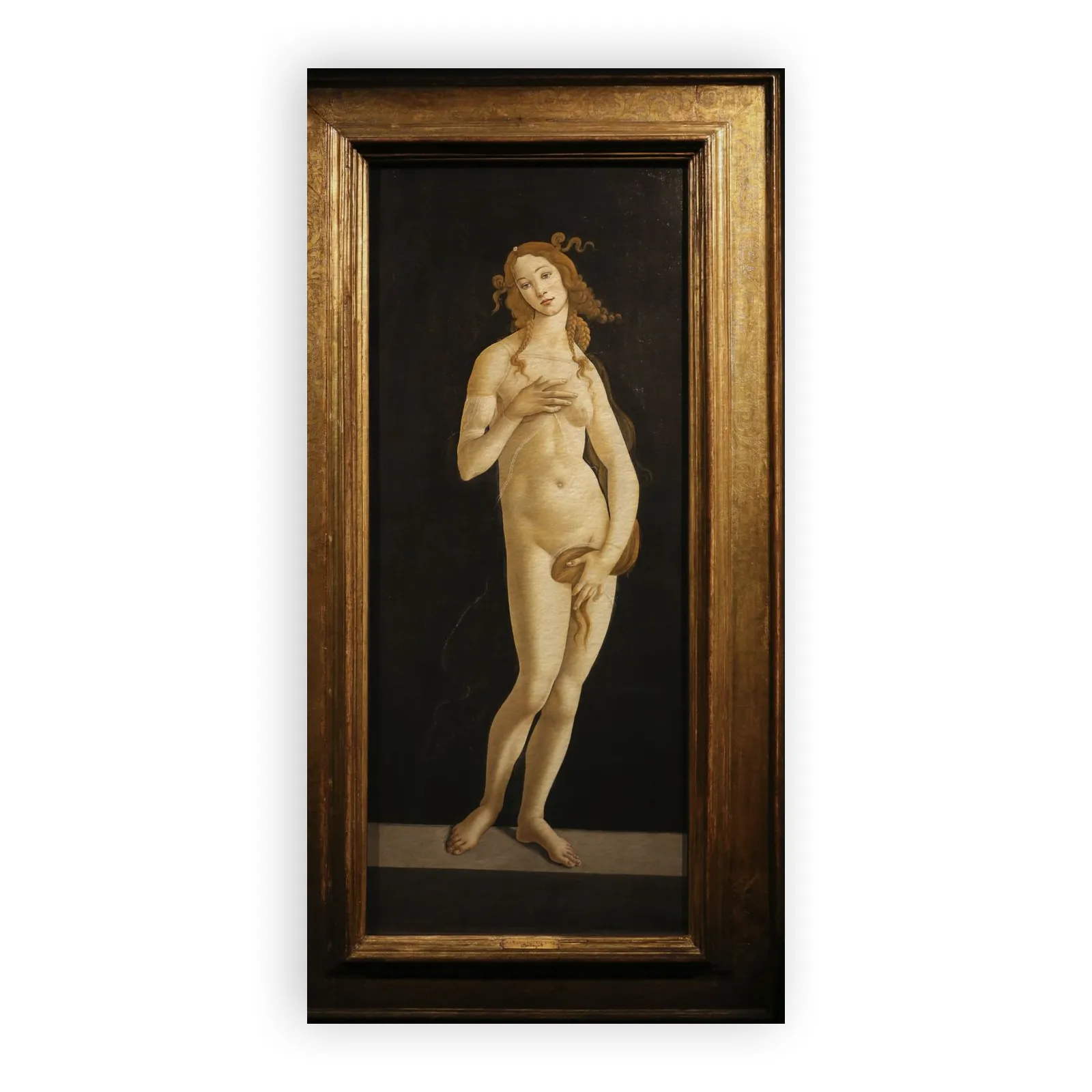 Venus by Sandro Botticelli - view 6 thumbnail