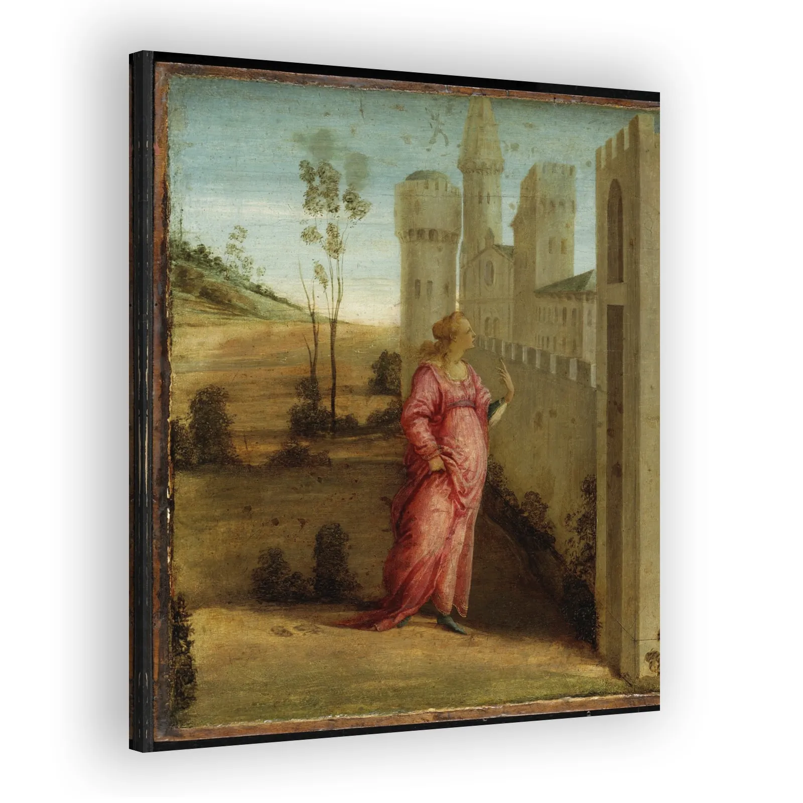Esther at the Palace Gate by Sandro Botticelli - view 2 thumbnail